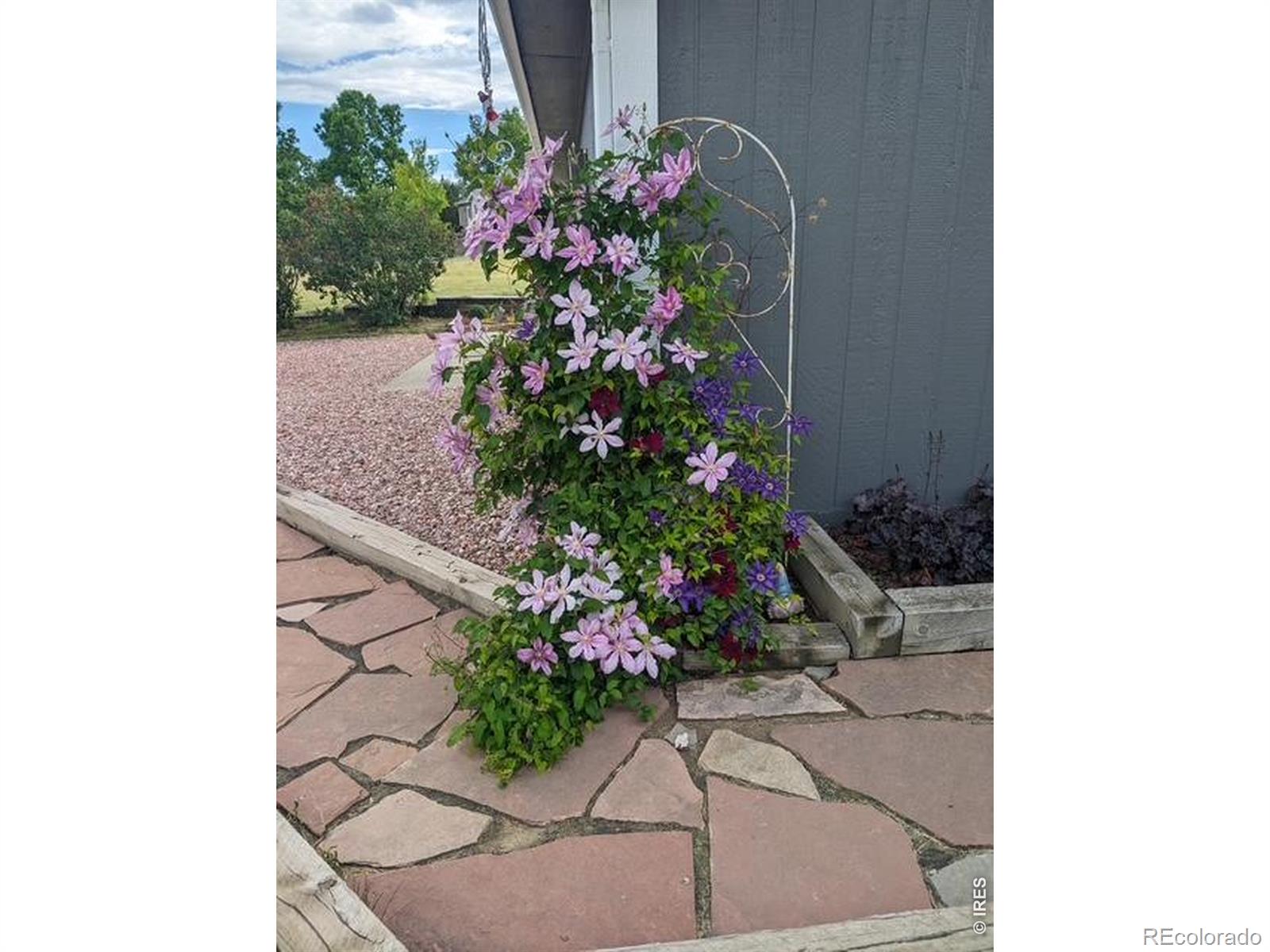 MLS Image #44 for 20649  staghorn court,johnstown, Colorado