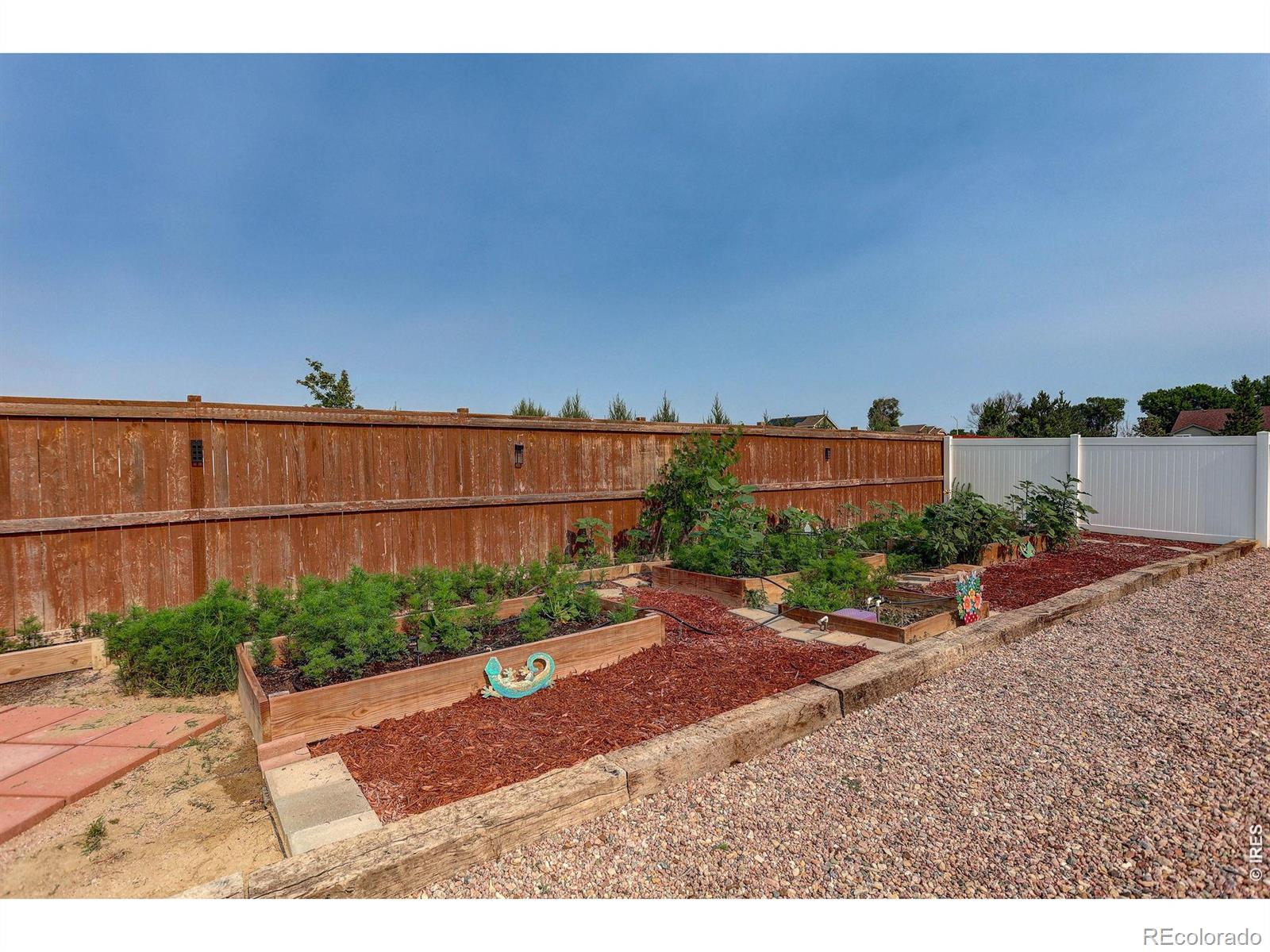 MLS Image #29 for 703  cavern street,severance, Colorado