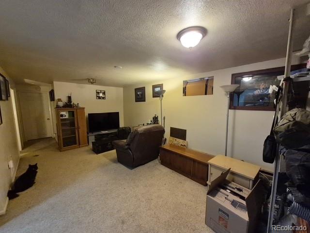 MLS Image #8 for 3561 e 118th avenue,denver, Colorado