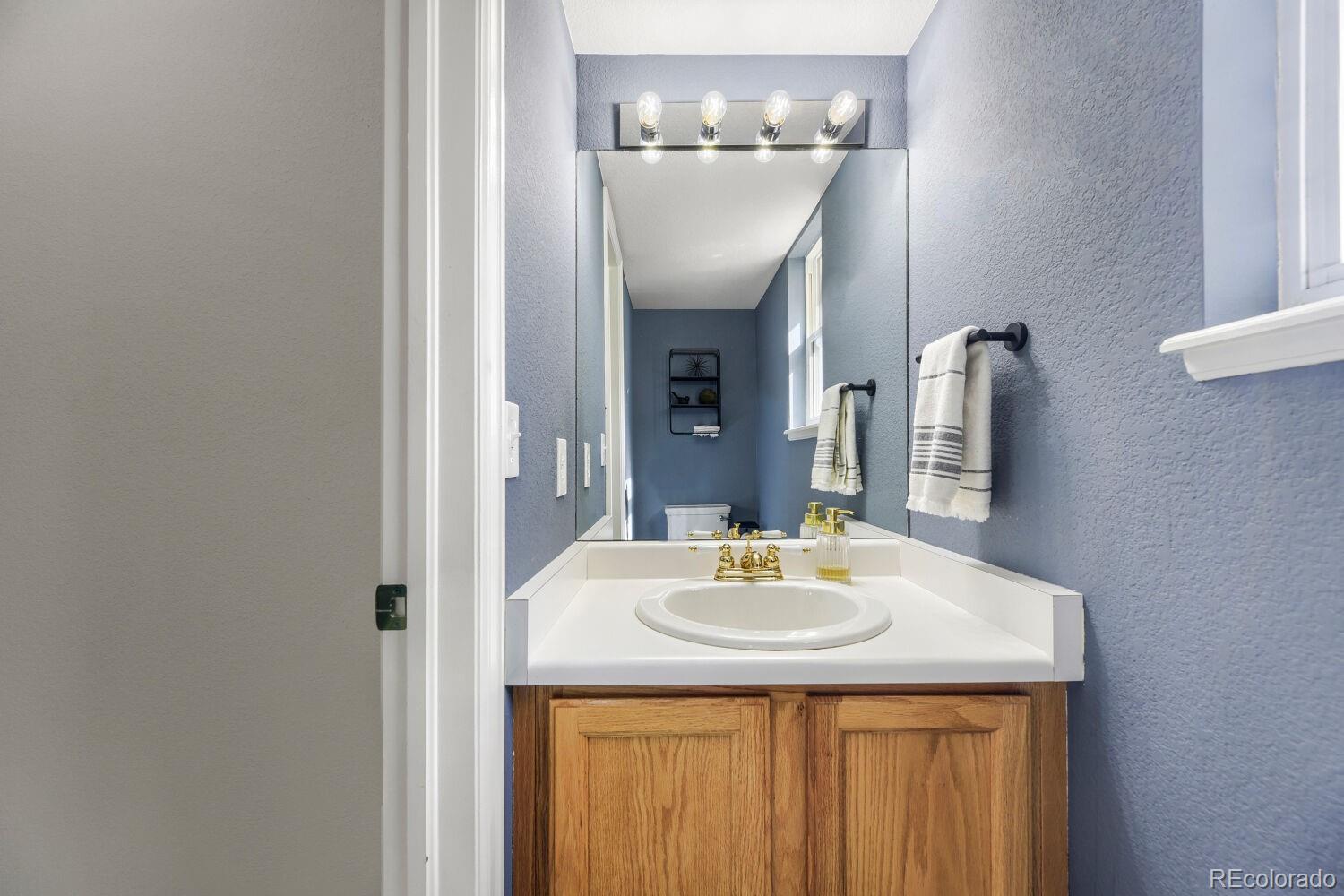 MLS Image #18 for 10660  pommel court,parker, Colorado