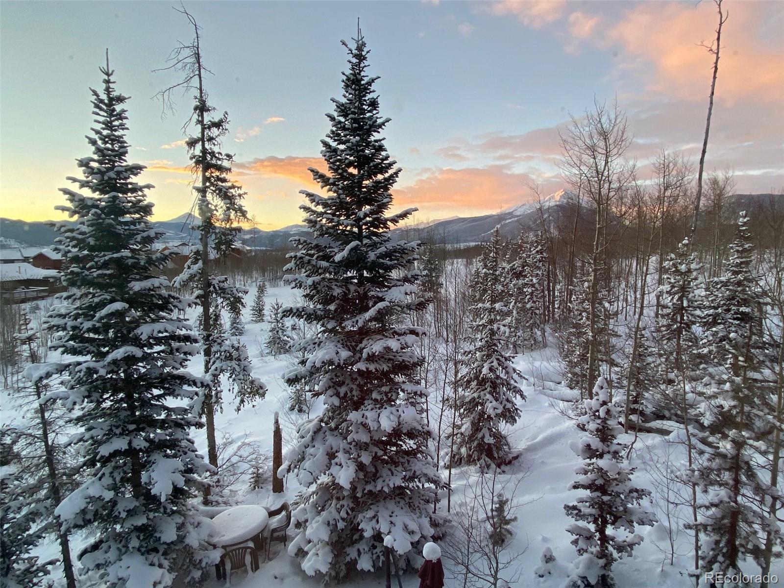 MLS Image #10 for 9800  ryan gulch road,silverthorne, Colorado