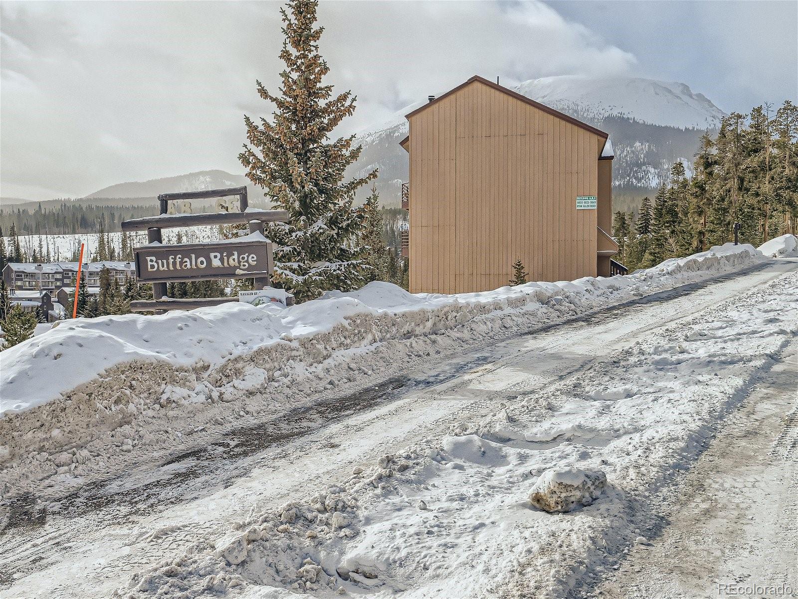 MLS Image #14 for 9800  ryan gulch road,silverthorne, Colorado