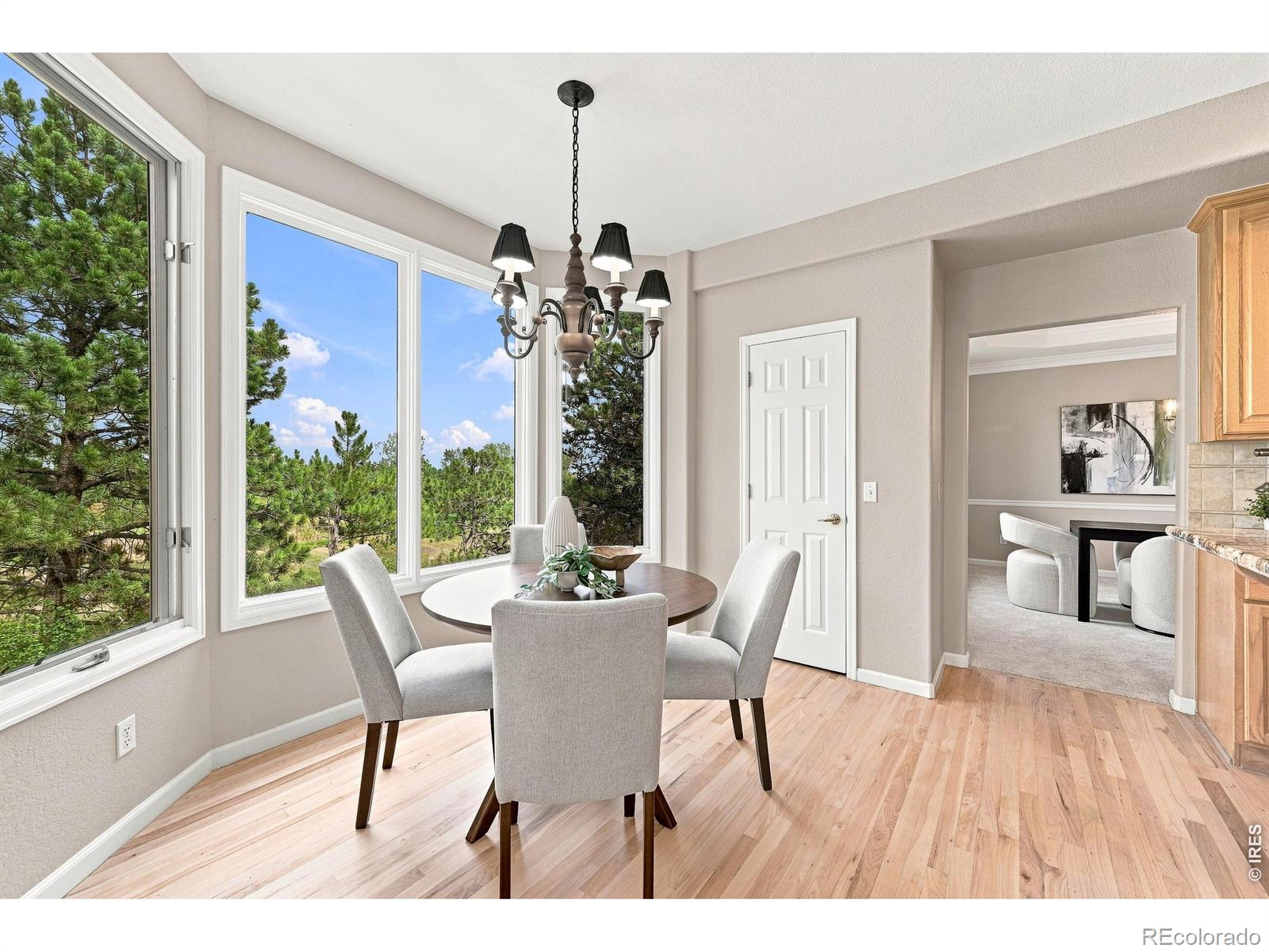 MLS Image #14 for 785 e heartstrong street,superior, Colorado