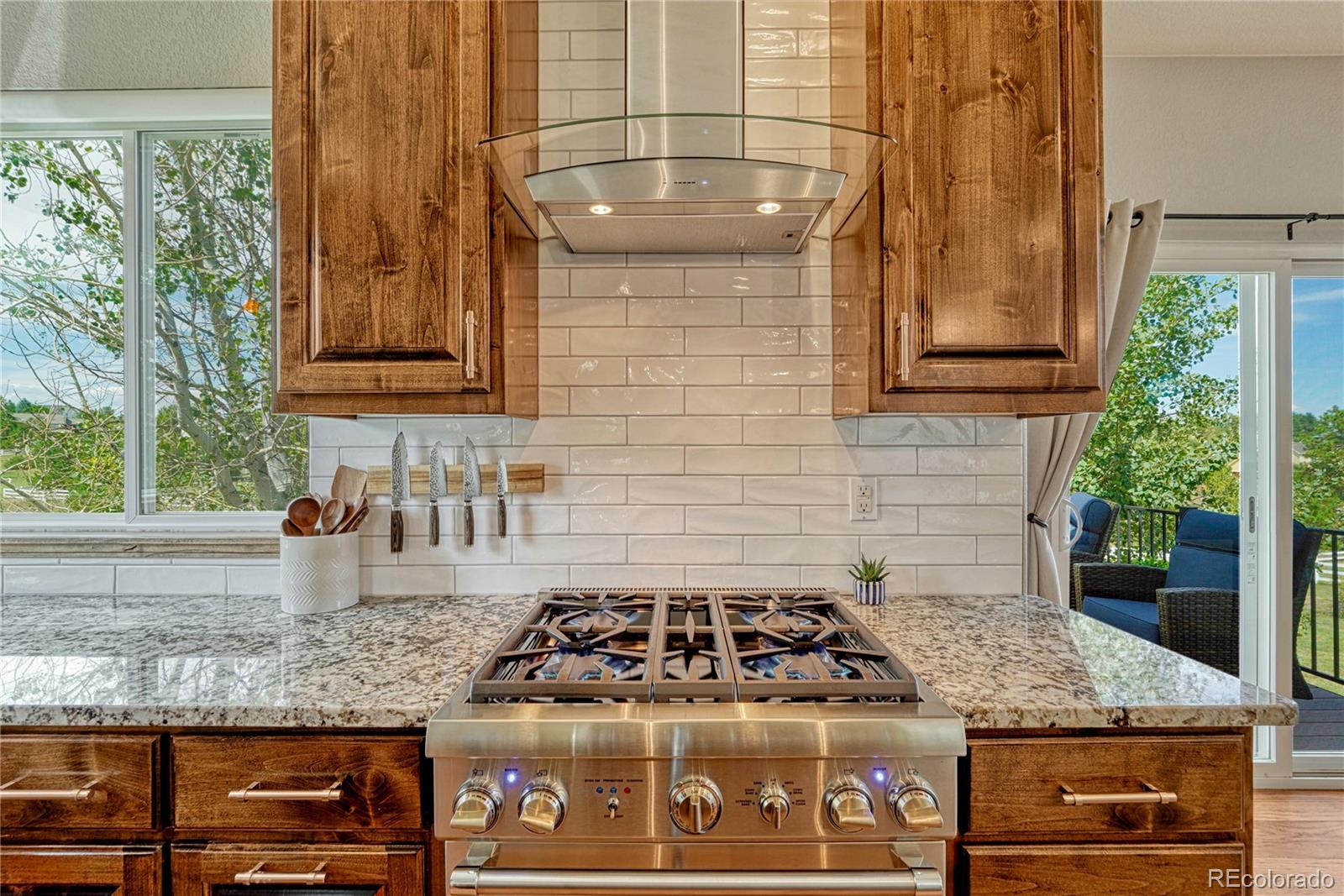 MLS Image #10 for 3441  meadowlark court,parker, Colorado
