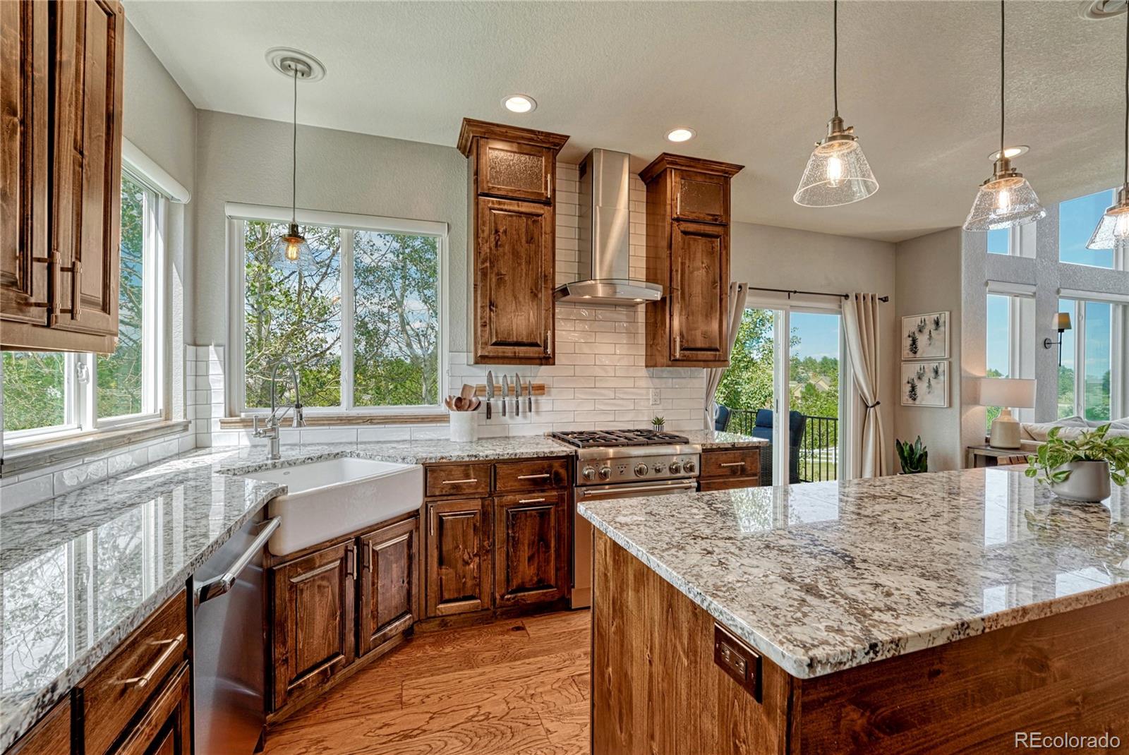 MLS Image #8 for 3441  meadowlark court,parker, Colorado