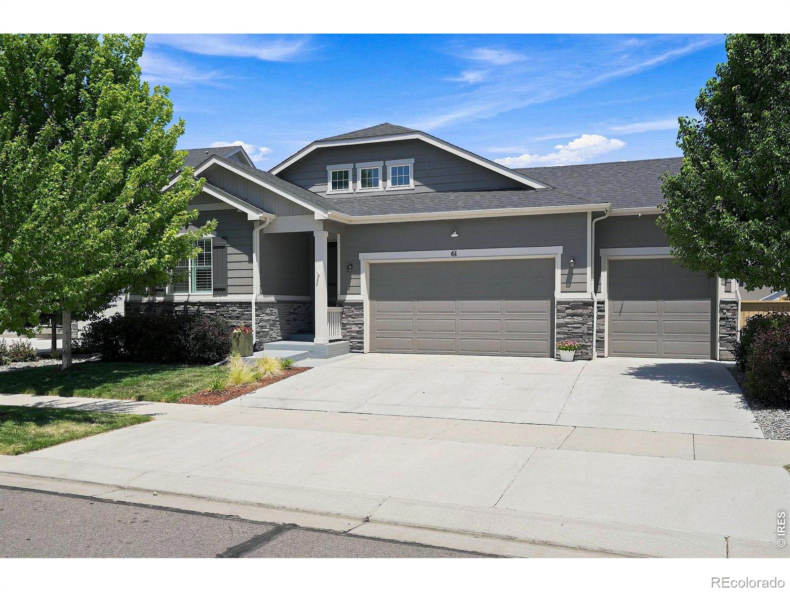 MLS Image #5 for 61  western sky circle,longmont, Colorado