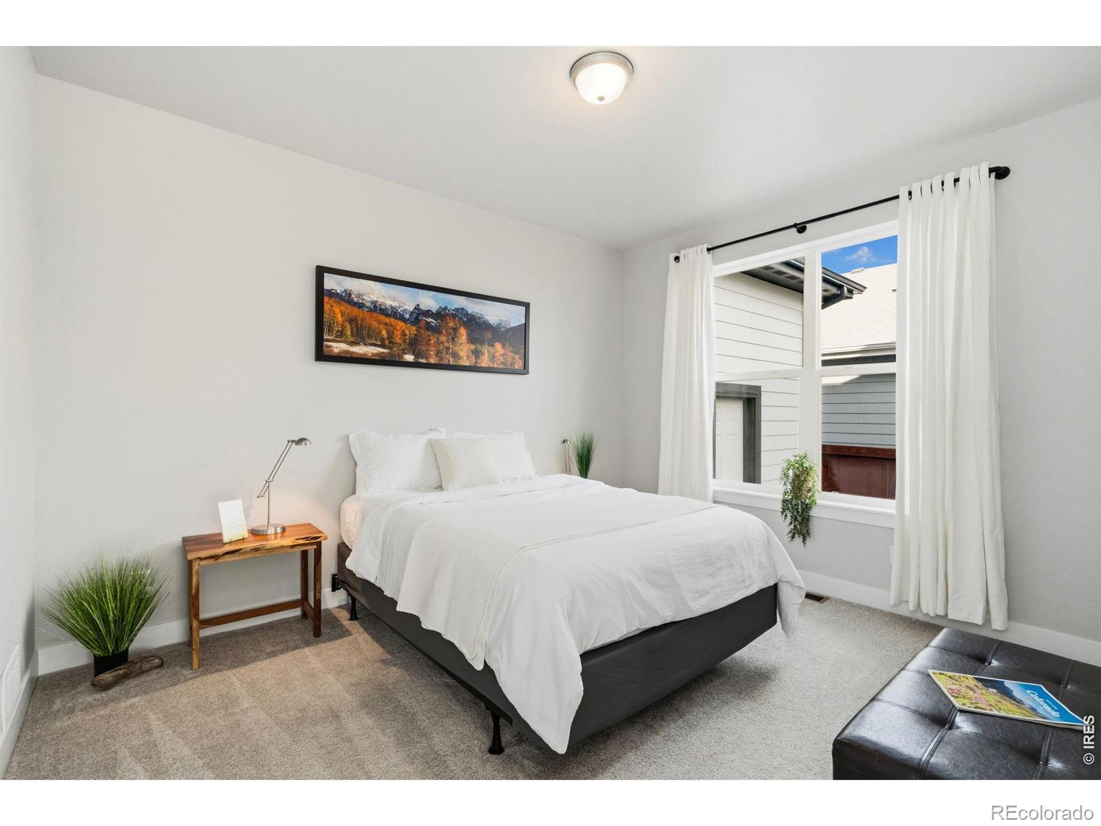 MLS Image #16 for 1828  golden sun drive,windsor, Colorado