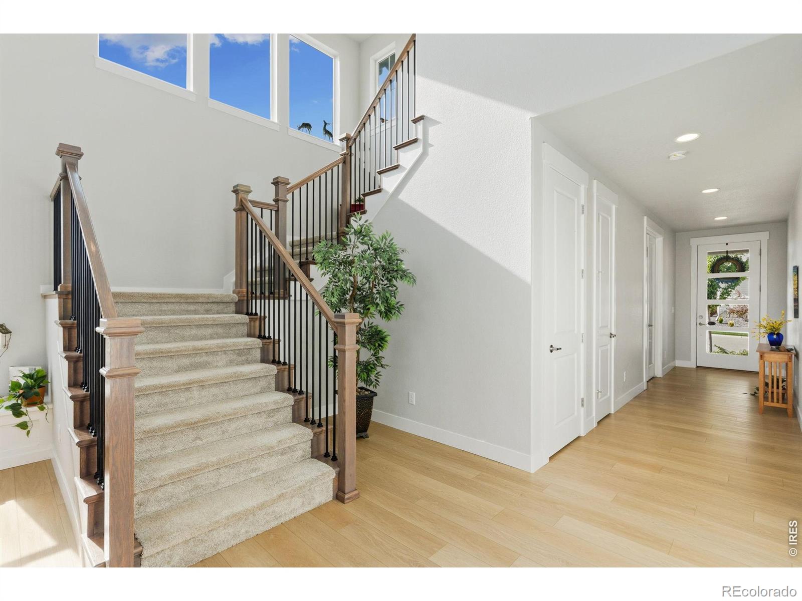MLS Image #21 for 1828  golden sun drive,windsor, Colorado