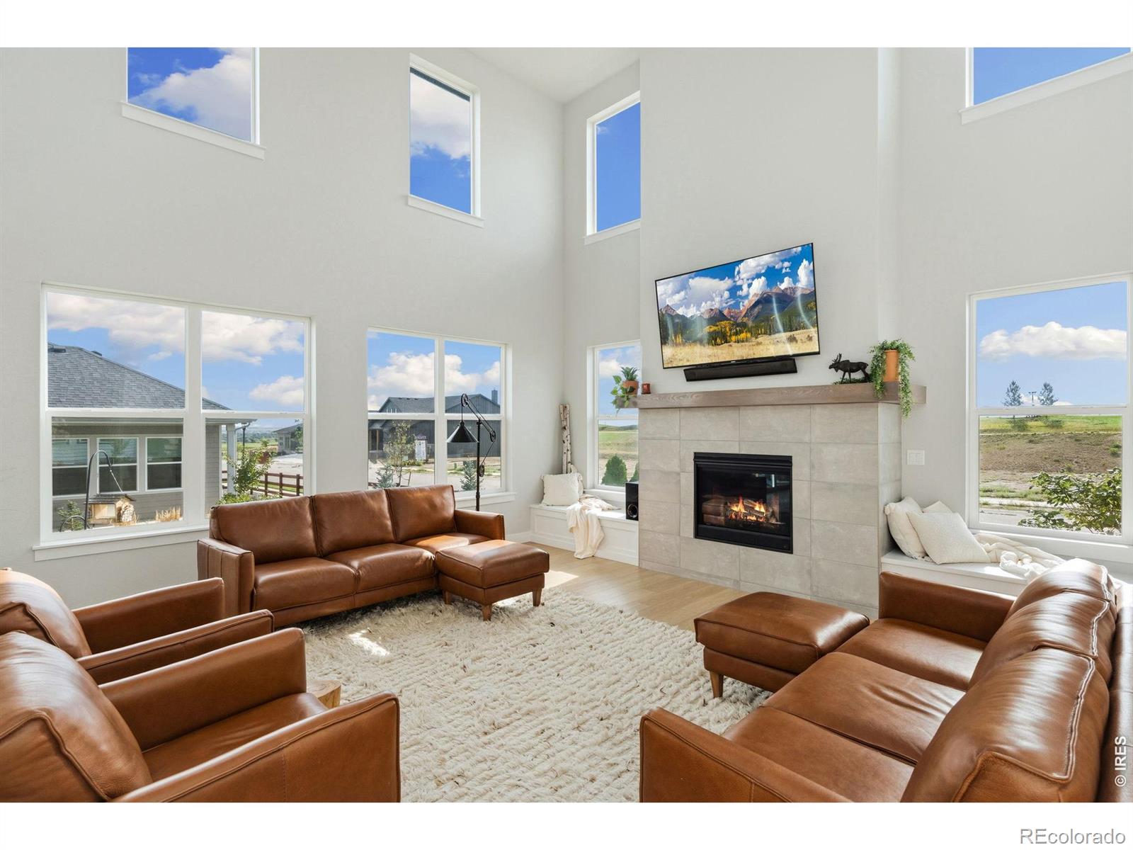 MLS Image #6 for 1828  golden sun drive,windsor, Colorado