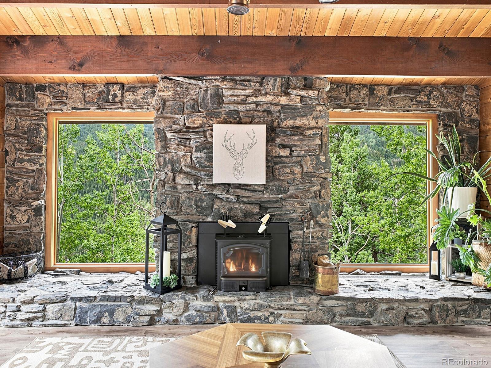 MLS Image #11 for 3742  witter gulch road,evergreen, Colorado