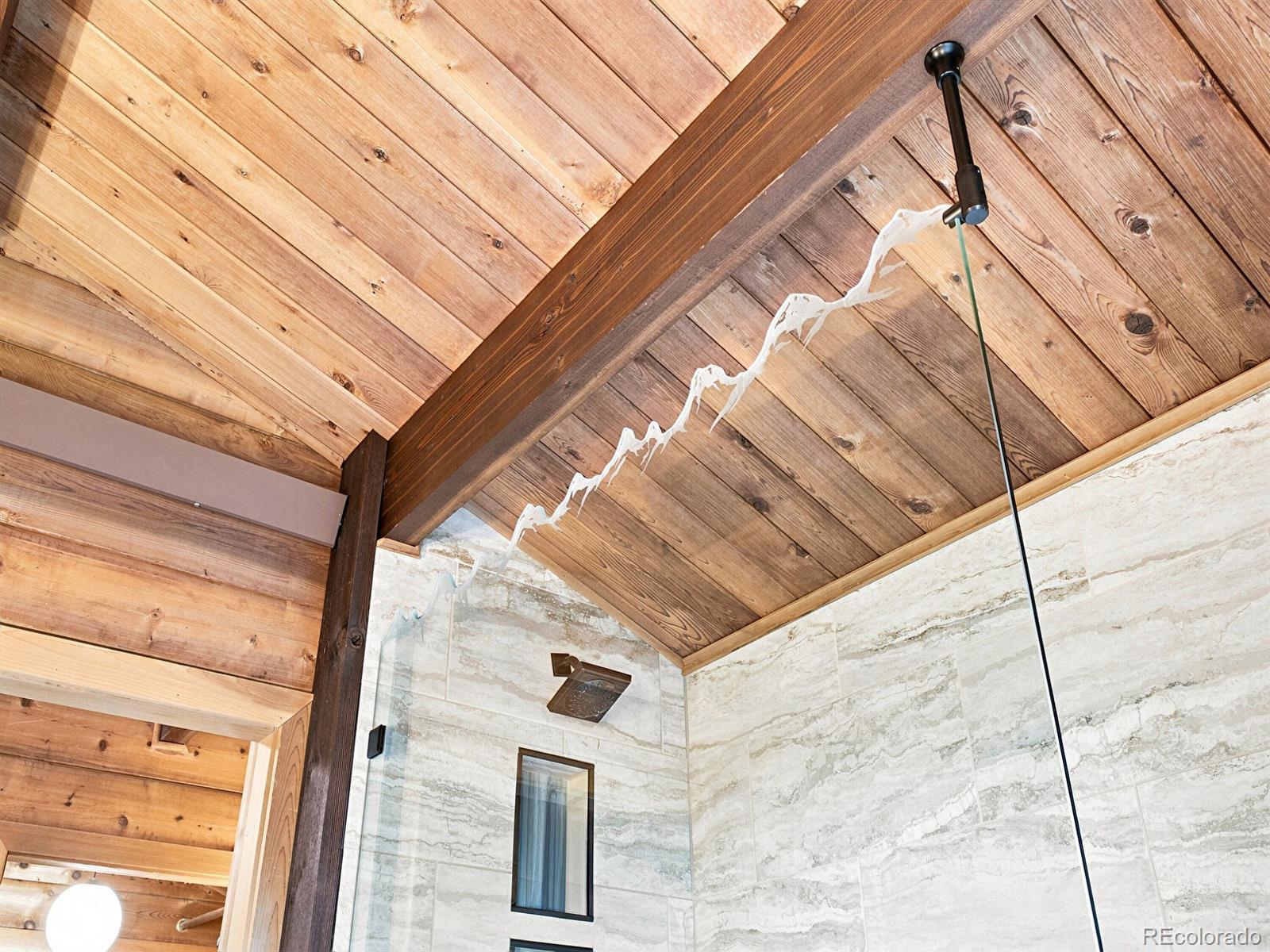 MLS Image #23 for 3742  witter gulch road,evergreen, Colorado