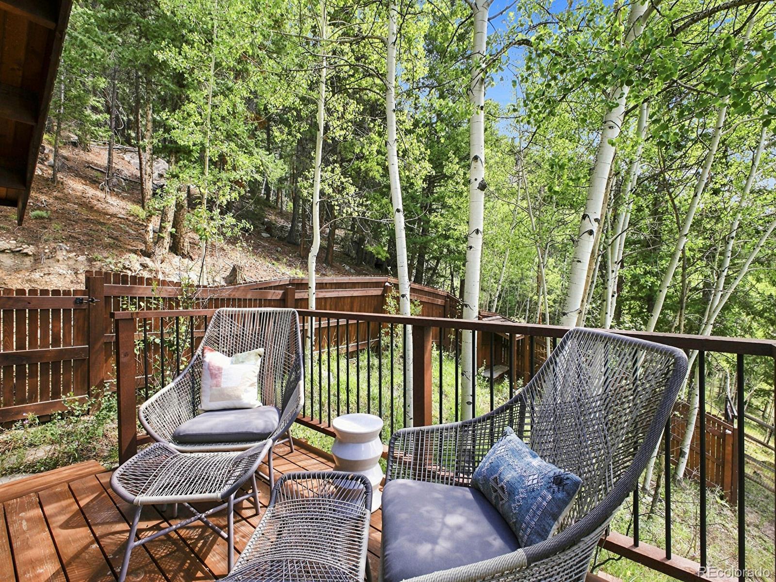 MLS Image #27 for 3742  witter gulch road,evergreen, Colorado