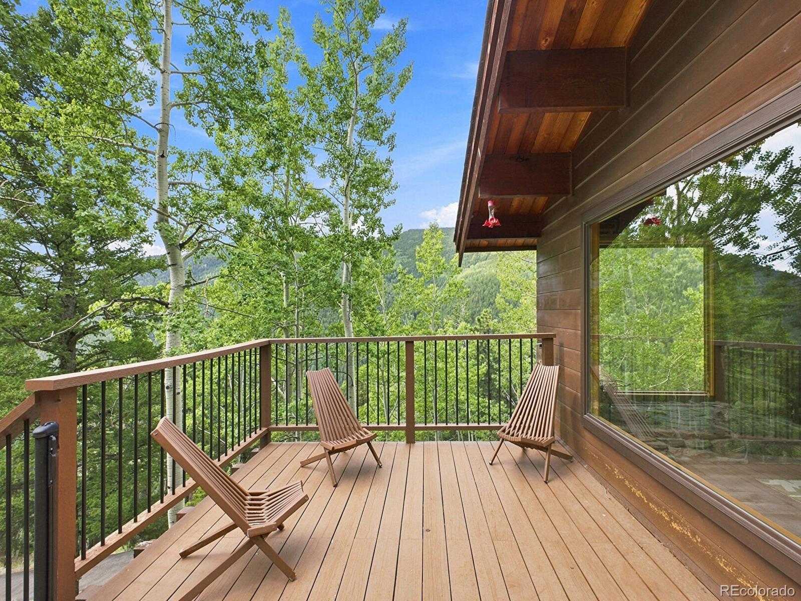 MLS Image #3 for 3742  witter gulch road,evergreen, Colorado