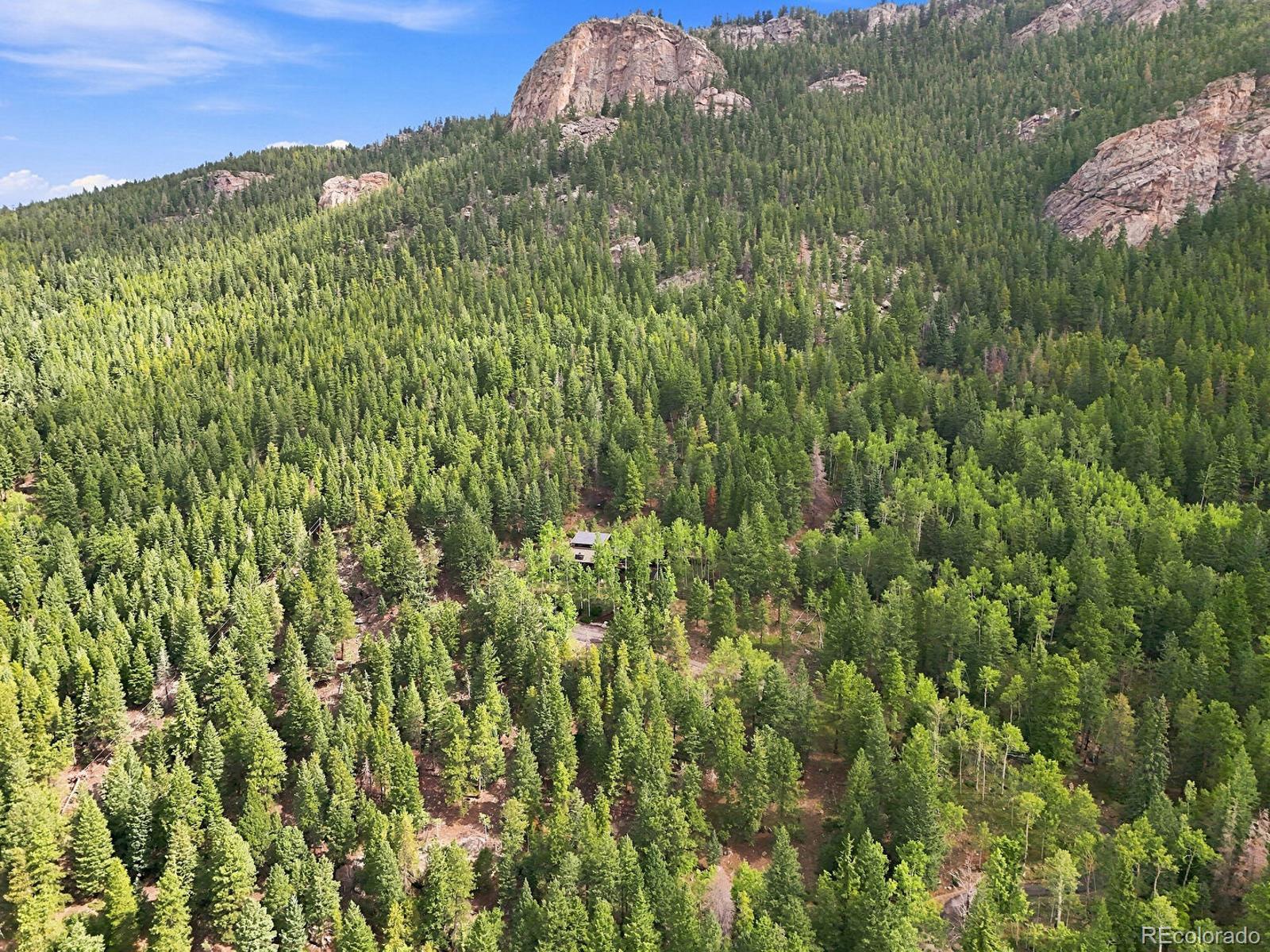 MLS Image #32 for 3742  witter gulch road,evergreen, Colorado