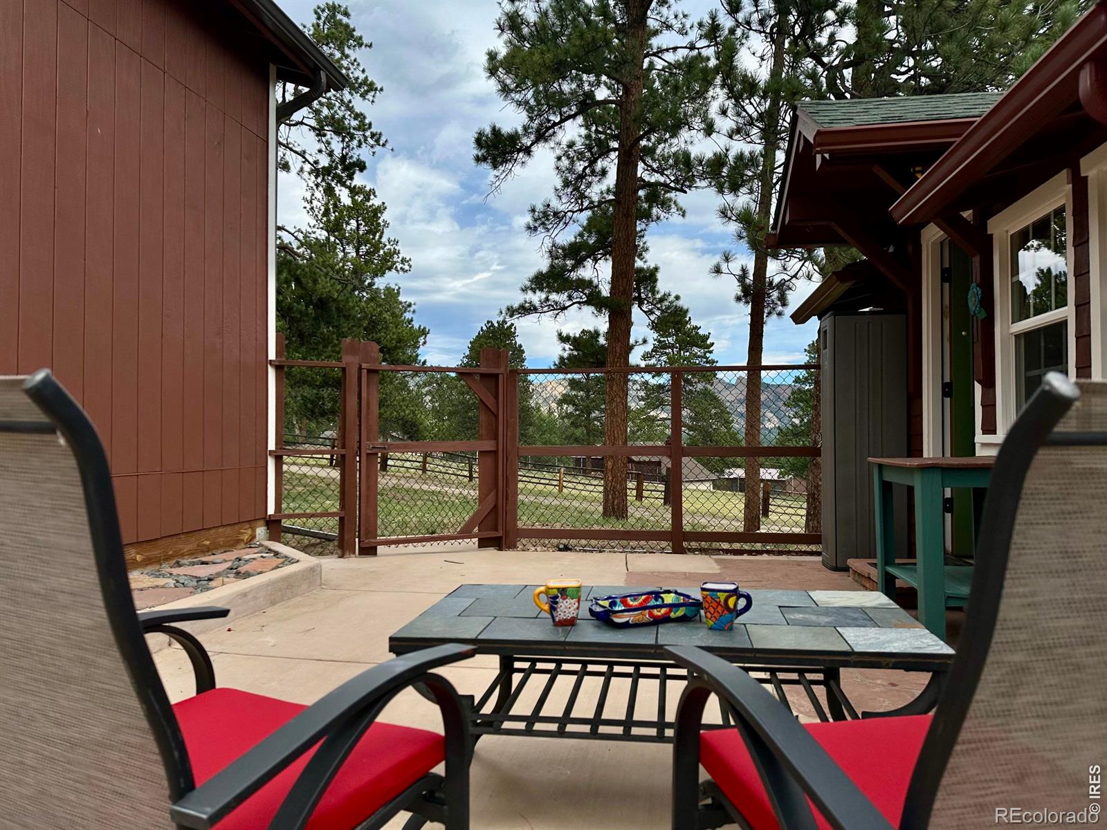 MLS Image #15 for 823  university drive,estes park, Colorado
