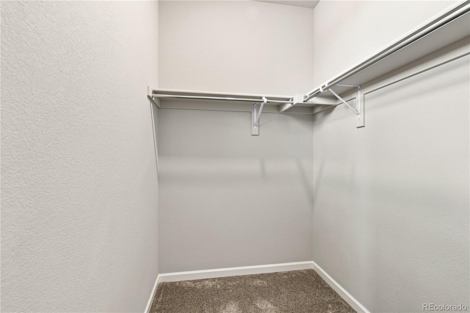 MLS Image #26 for 667  simmental loop,castle rock, Colorado