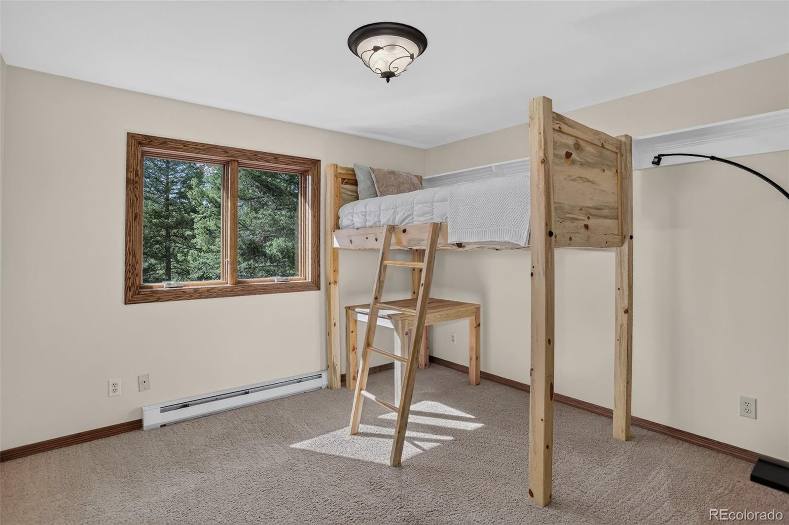 MLS Image #22 for 9269  william cody drive,evergreen, Colorado