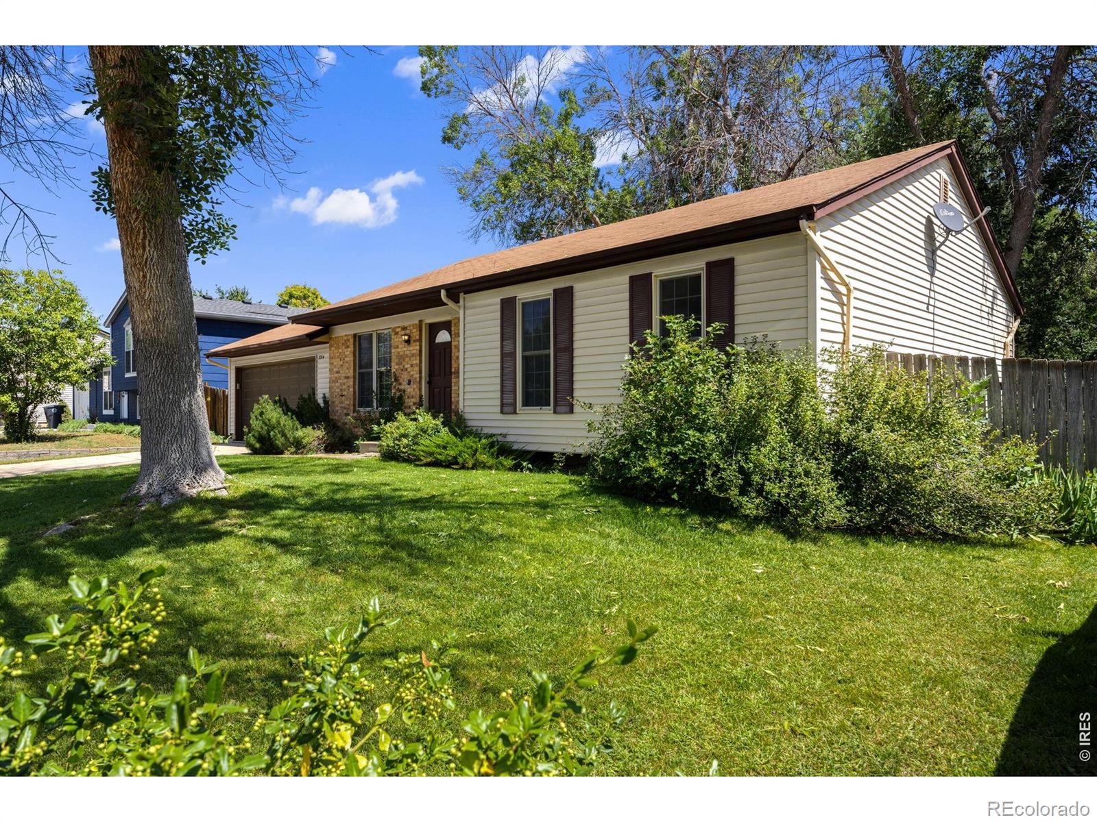 MLS Image #18 for 2314  bowen street,longmont, Colorado