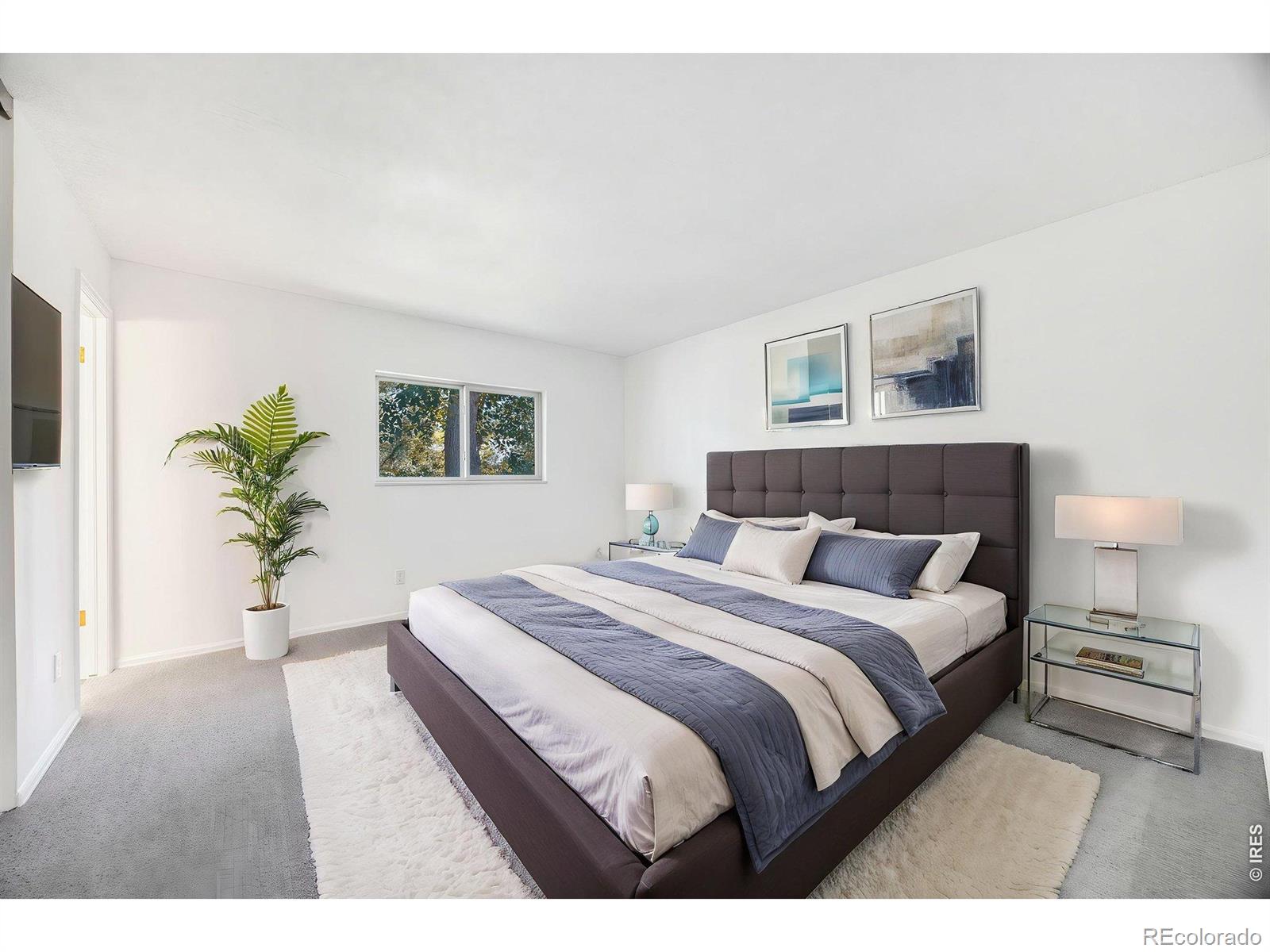 MLS Image #9 for 2314  bowen street,longmont, Colorado