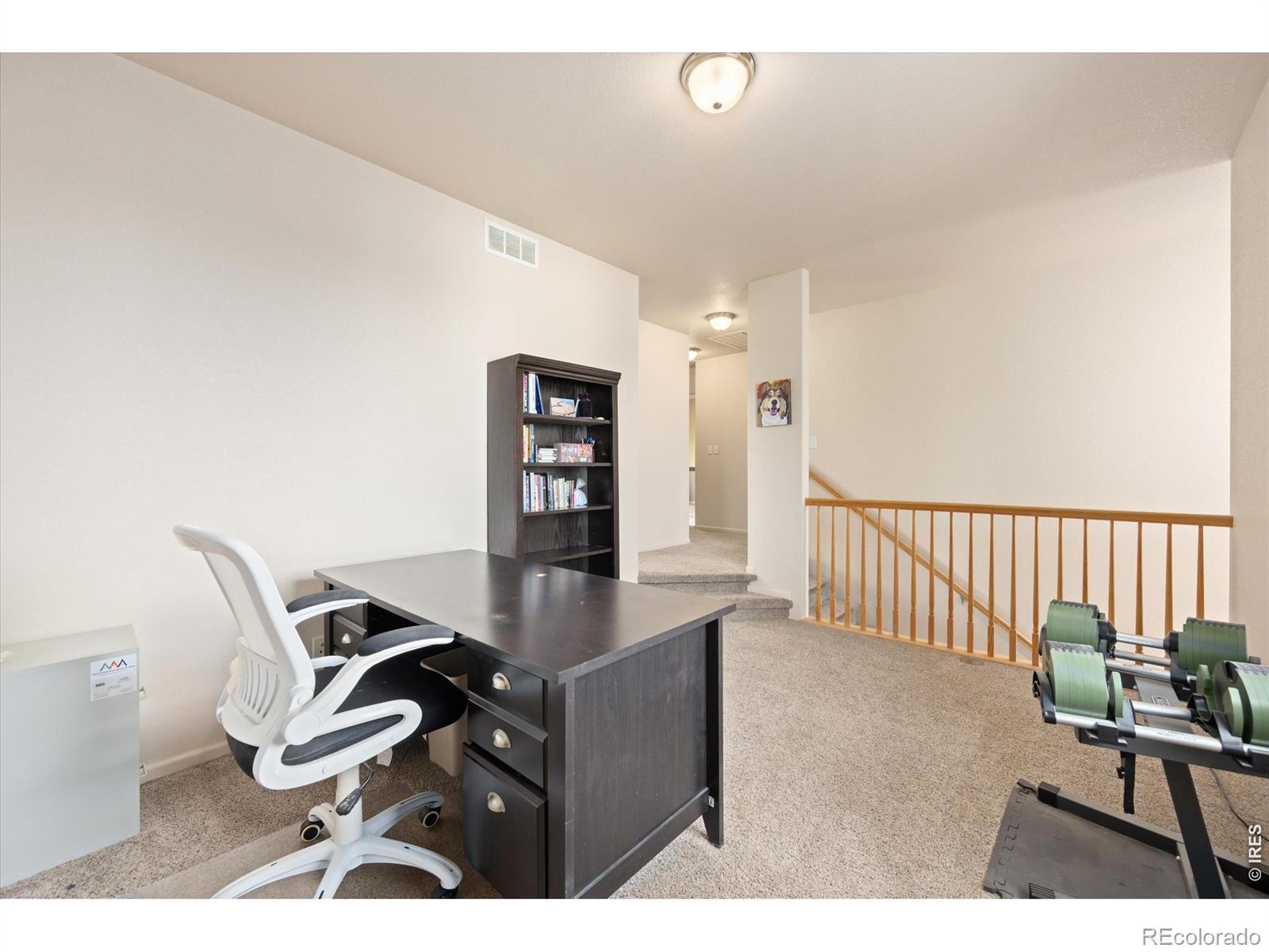 MLS Image #22 for 226  aspen grove way,severance, Colorado