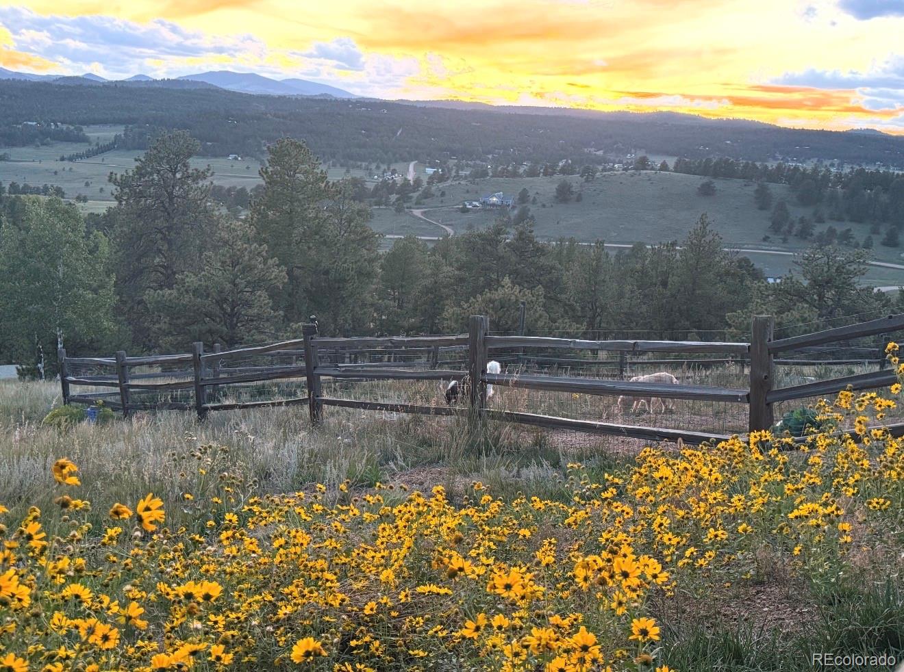 MLS Image #38 for 127  carlton circle,florissant, Colorado
