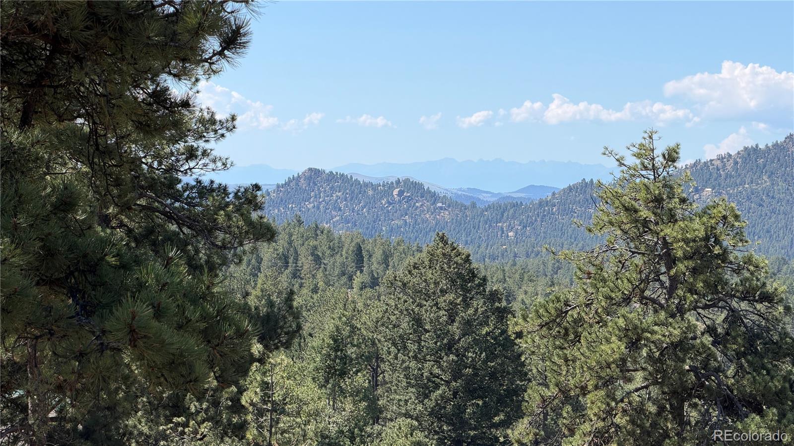 MLS Image #41 for 127  carlton circle,florissant, Colorado