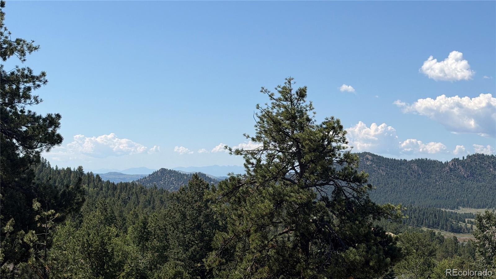 MLS Image #43 for 127  carlton circle,florissant, Colorado