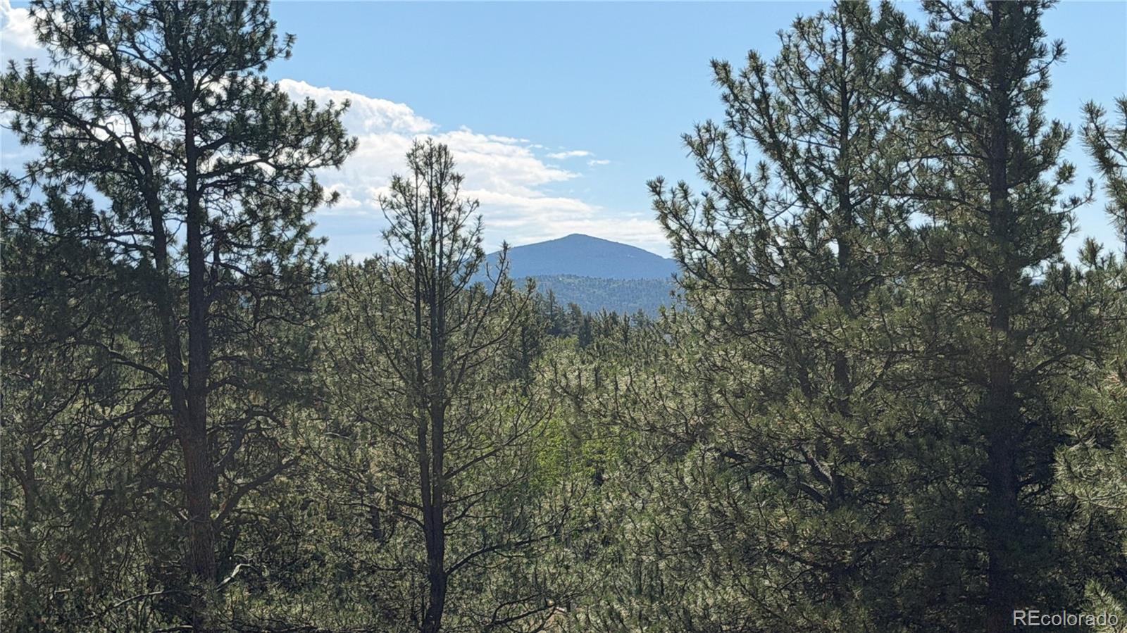 MLS Image #45 for 127  carlton circle,florissant, Colorado
