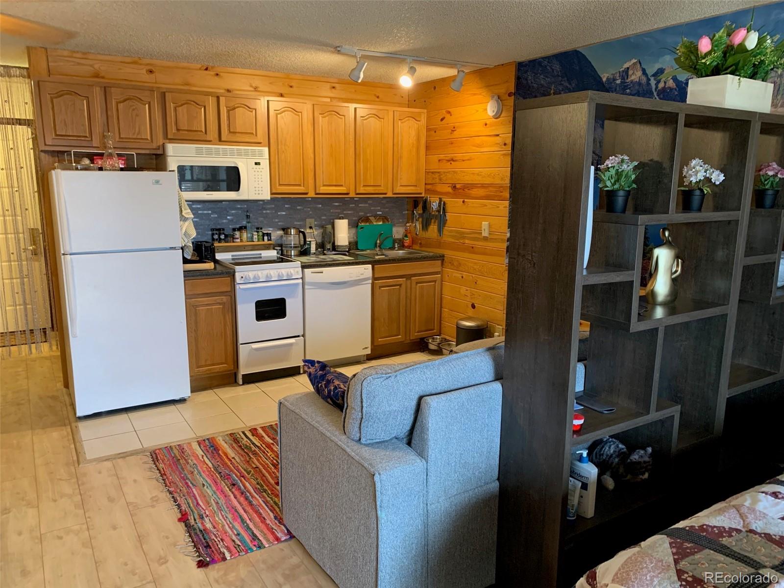 MLS Image #4 for 62927  us highway 40 ,granby, Colorado