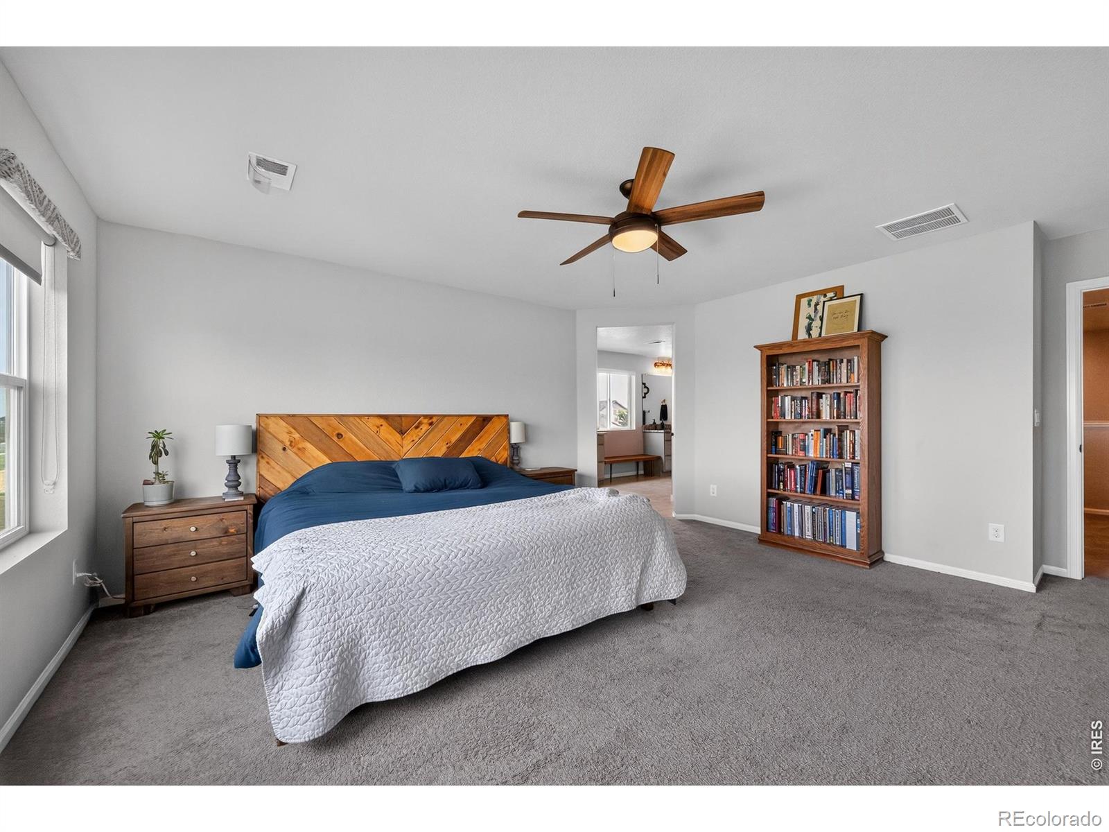 MLS Image #17 for 5287  alberta falls street,timnath, Colorado