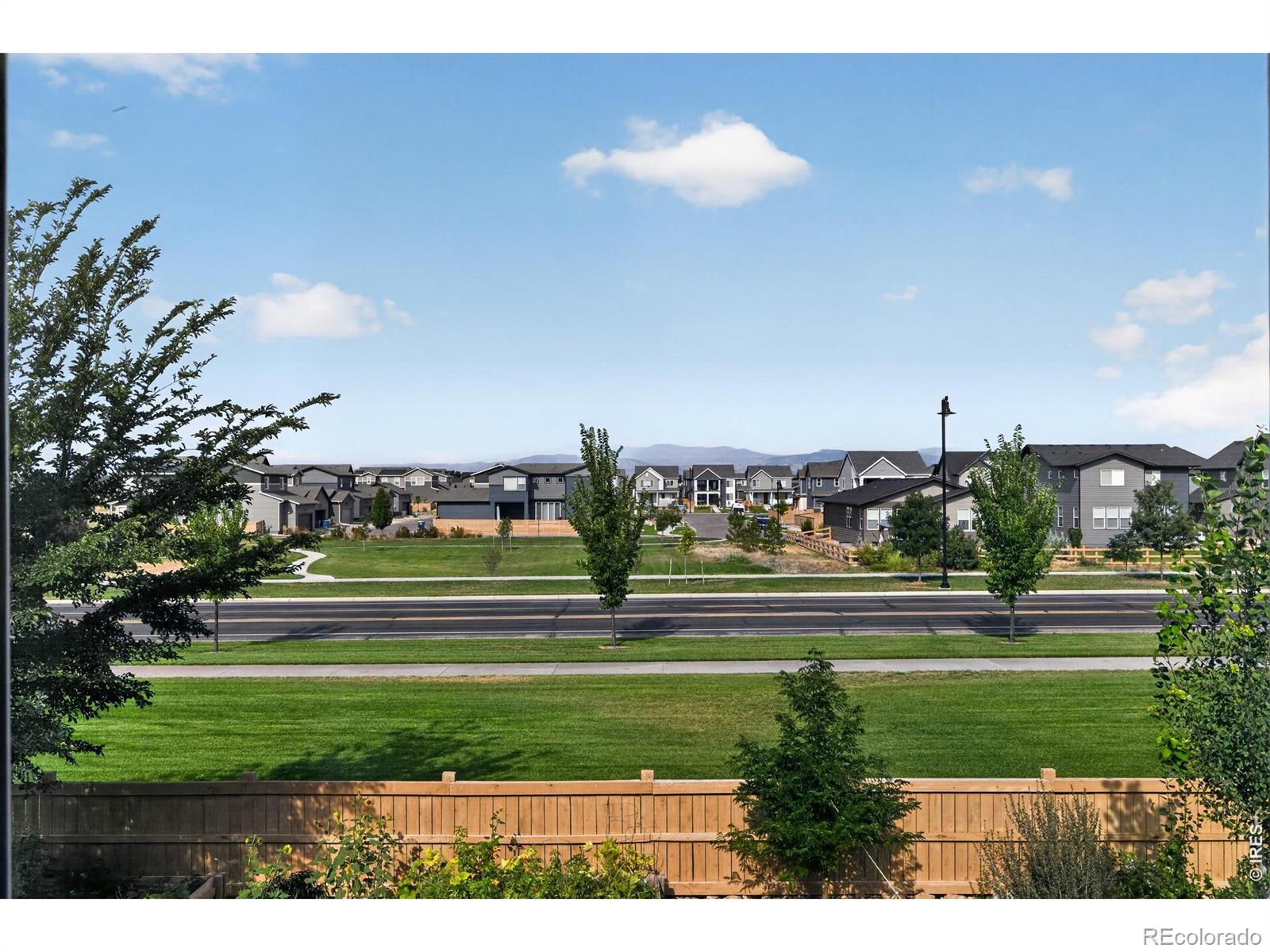 MLS Image #5 for 5287  alberta falls street,timnath, Colorado