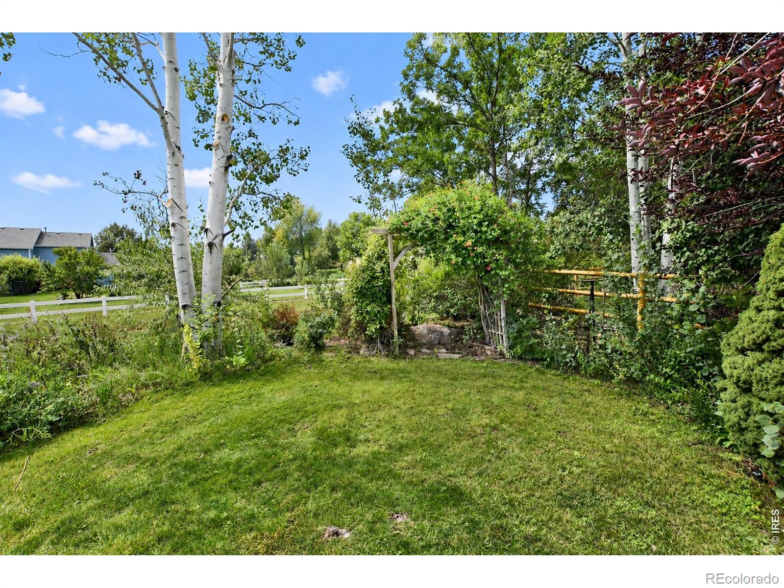 MLS Image #48 for 925  deerhurst circle,fort collins, Colorado