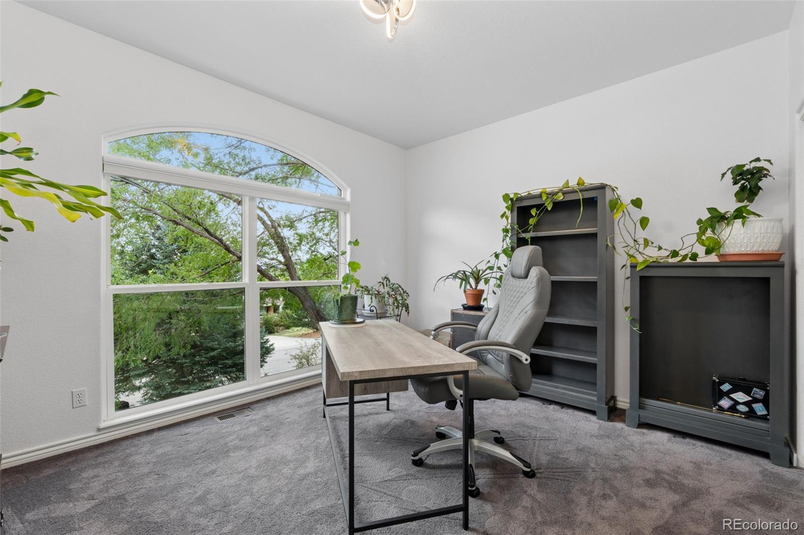 MLS Image #11 for 6  eagle nest lane,lyons, Colorado