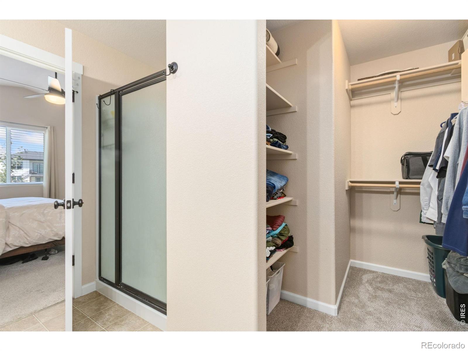 MLS Image #16 for 7491  eustis drive,wellington, Colorado