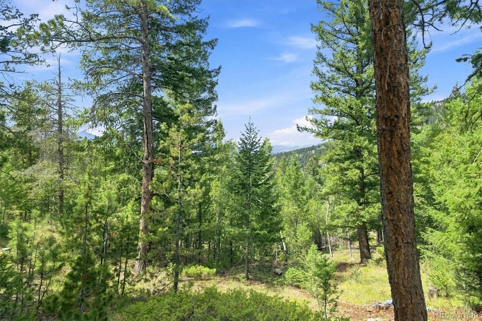 MLS Image #48 for 5581  northwood drive,evergreen, Colorado
