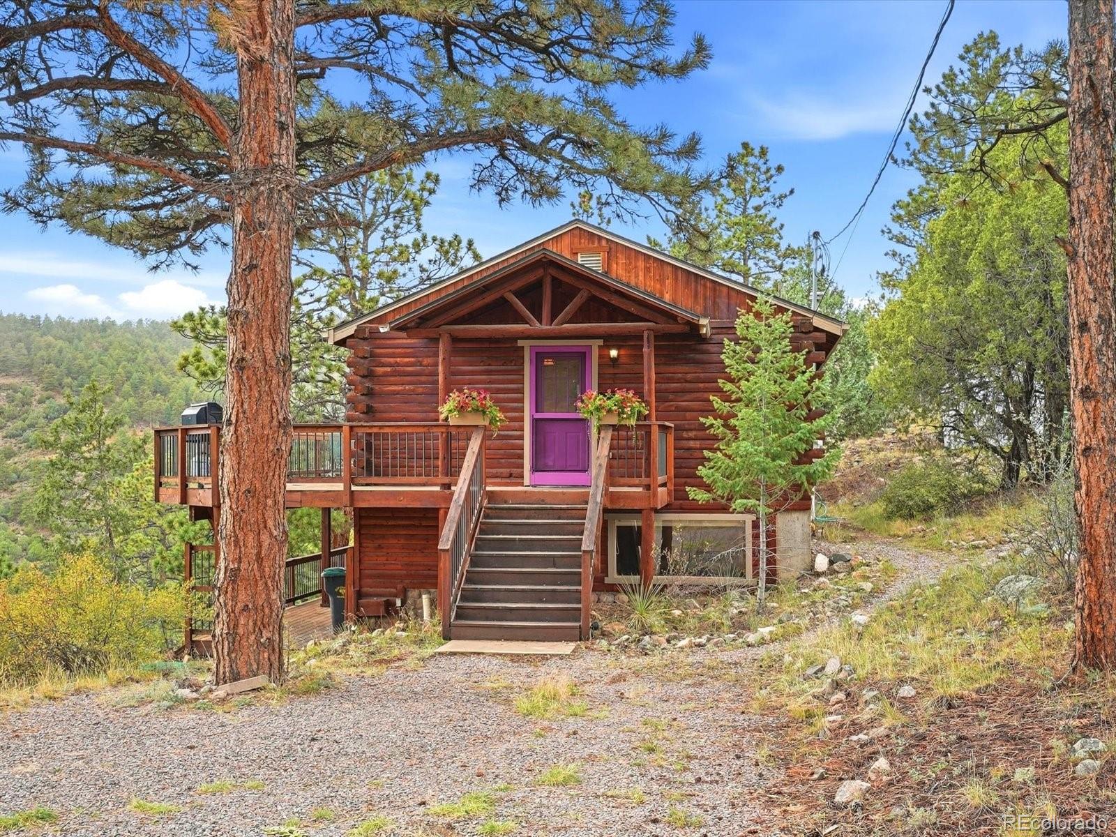 MLS Image #1 for 469  eagle trail,bailey, Colorado