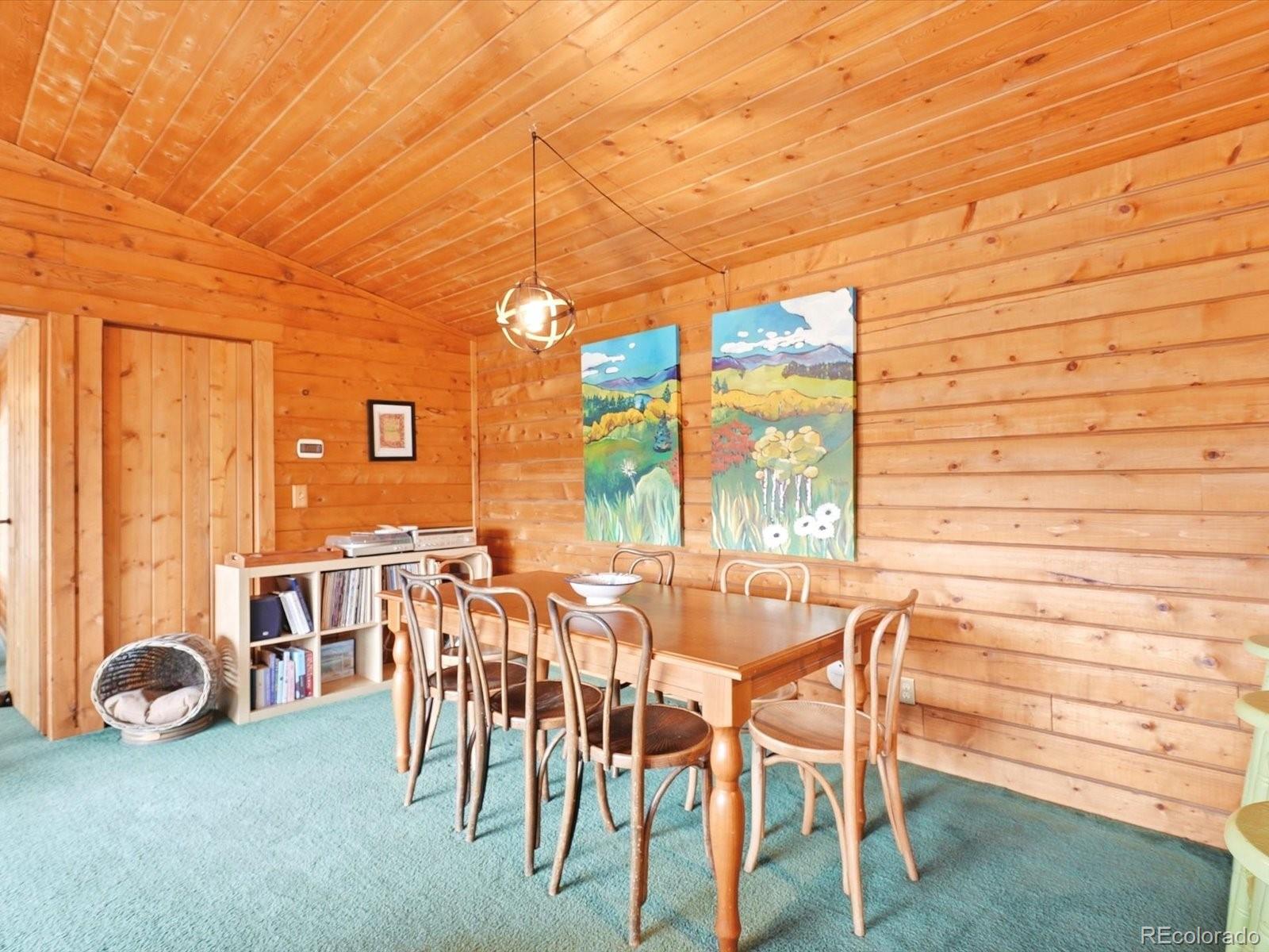 MLS Image #10 for 469  eagle trail,bailey, Colorado