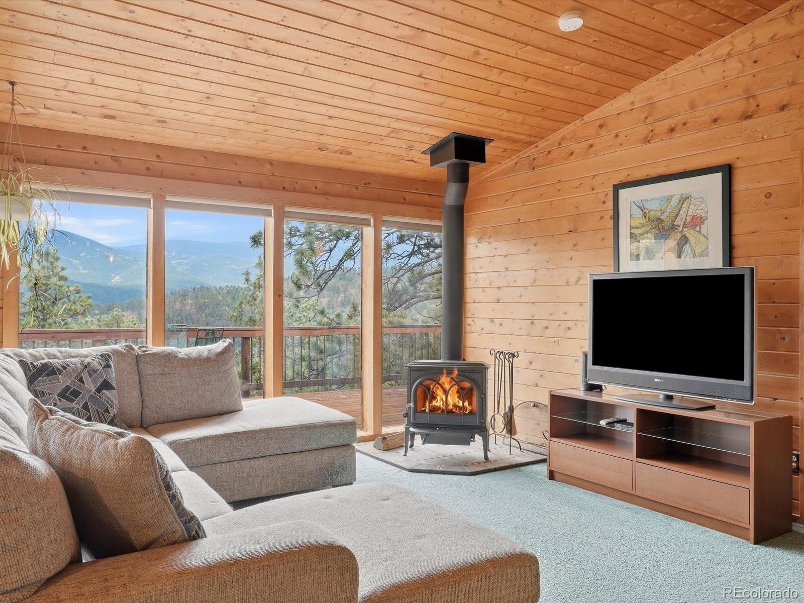 MLS Image #12 for 469  eagle trail,bailey, Colorado