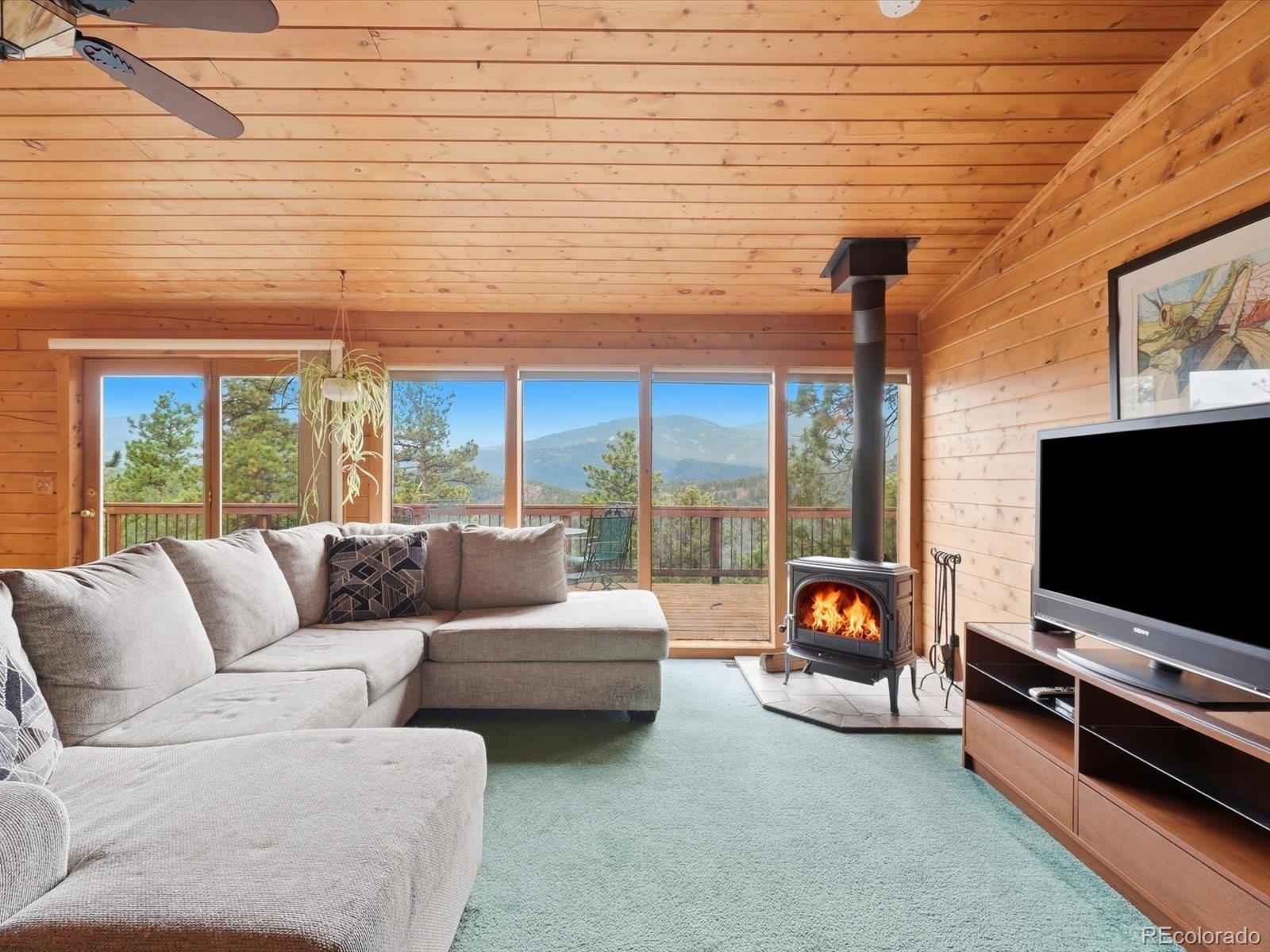 MLS Image #13 for 469  eagle trail,bailey, Colorado