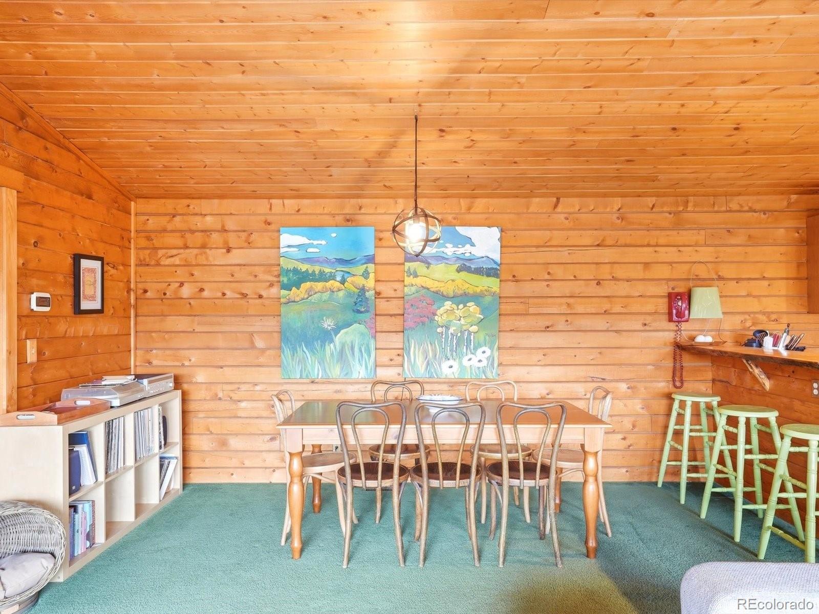 MLS Image #14 for 469  eagle trail,bailey, Colorado