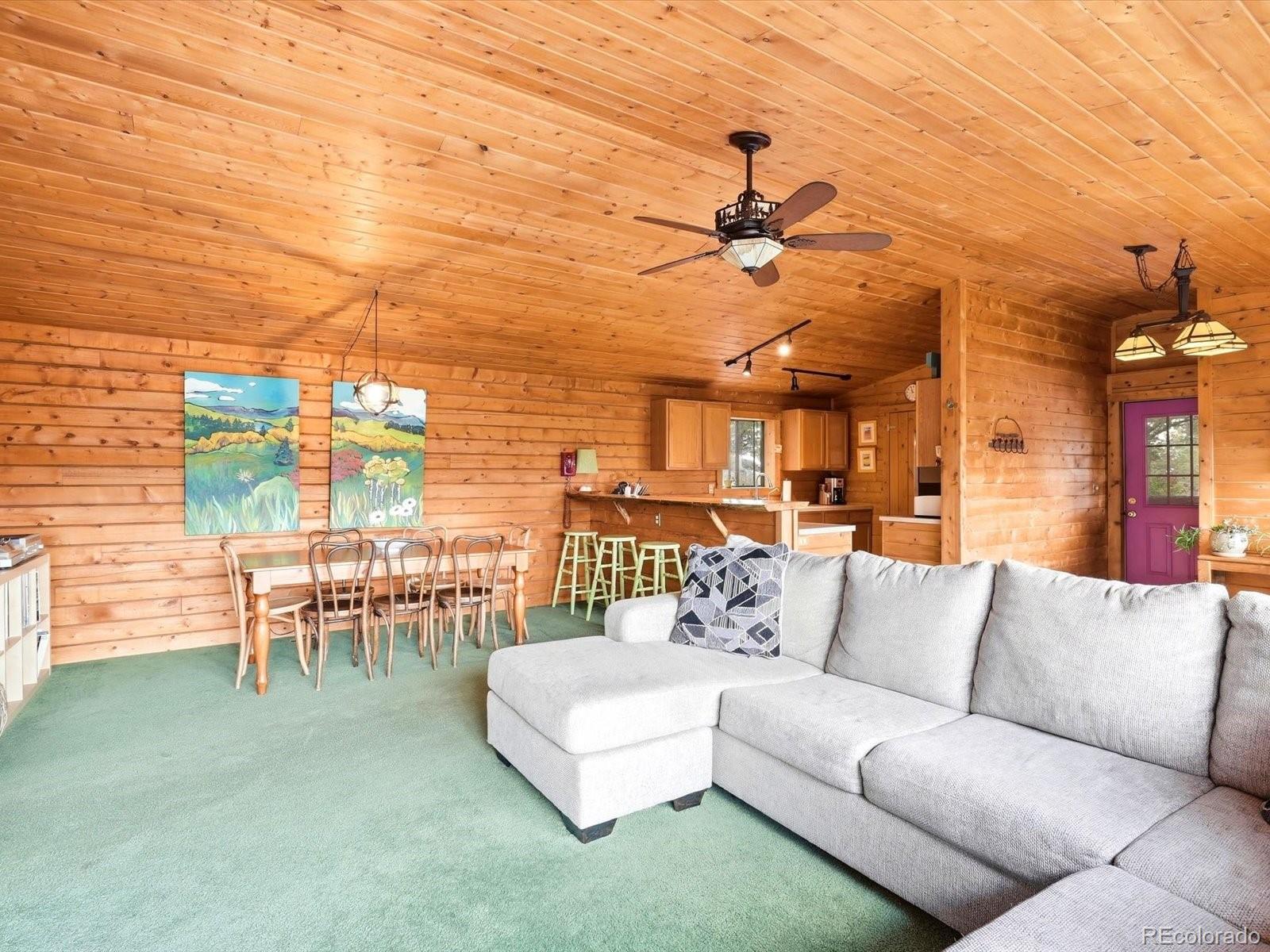 MLS Image #15 for 469  eagle trail,bailey, Colorado