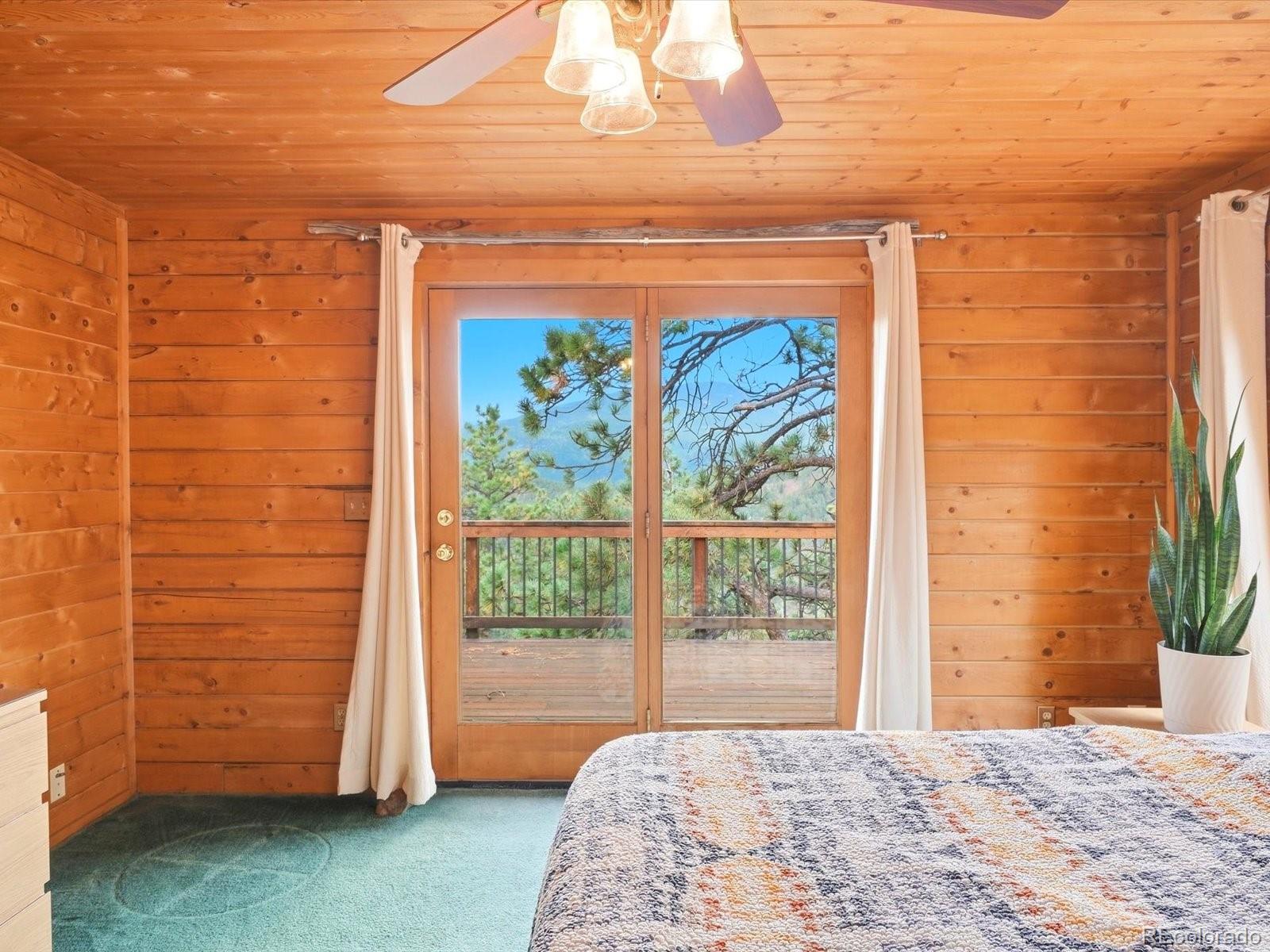 MLS Image #17 for 469  eagle trail,bailey, Colorado