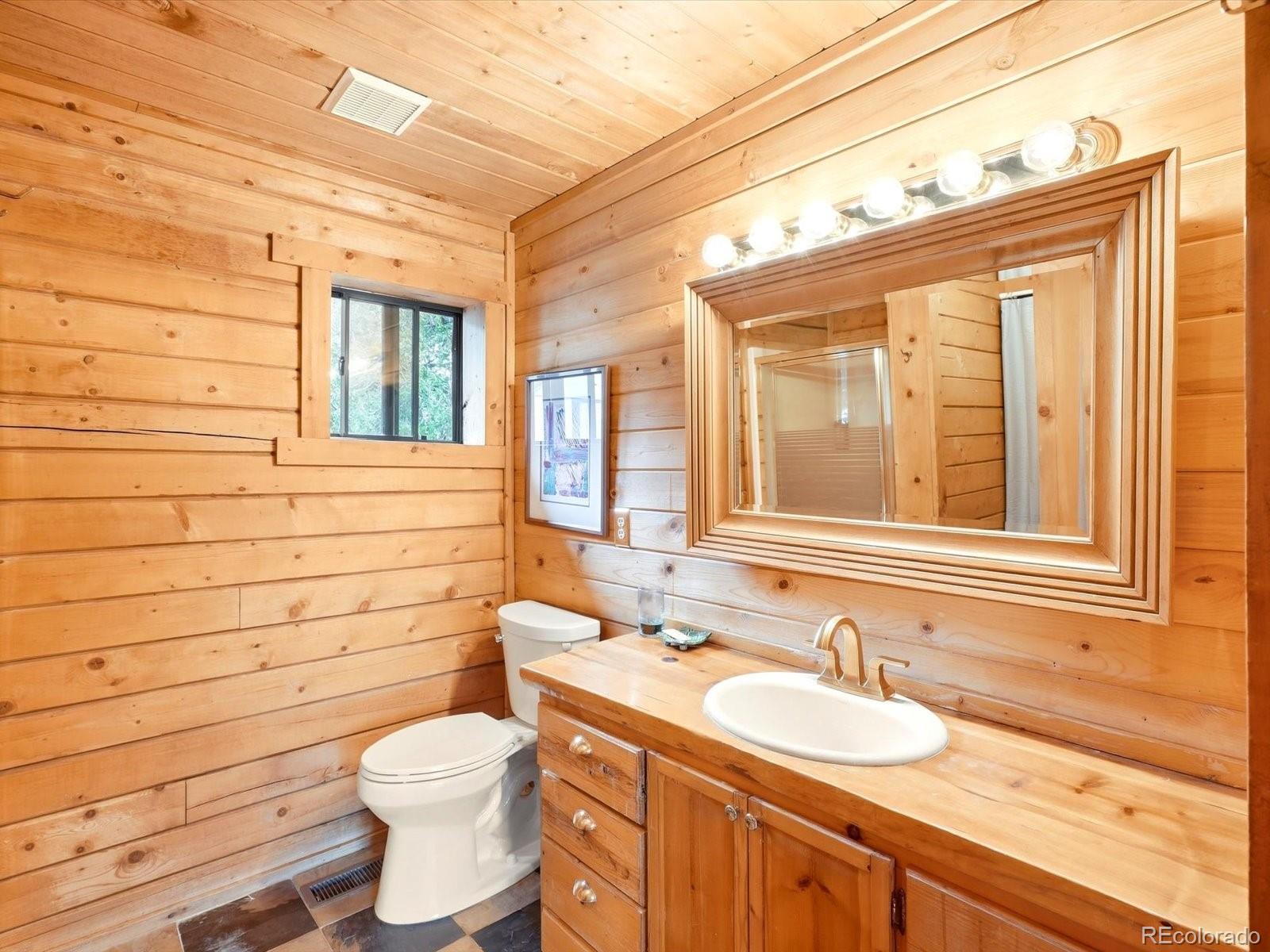 MLS Image #19 for 469  eagle trail,bailey, Colorado