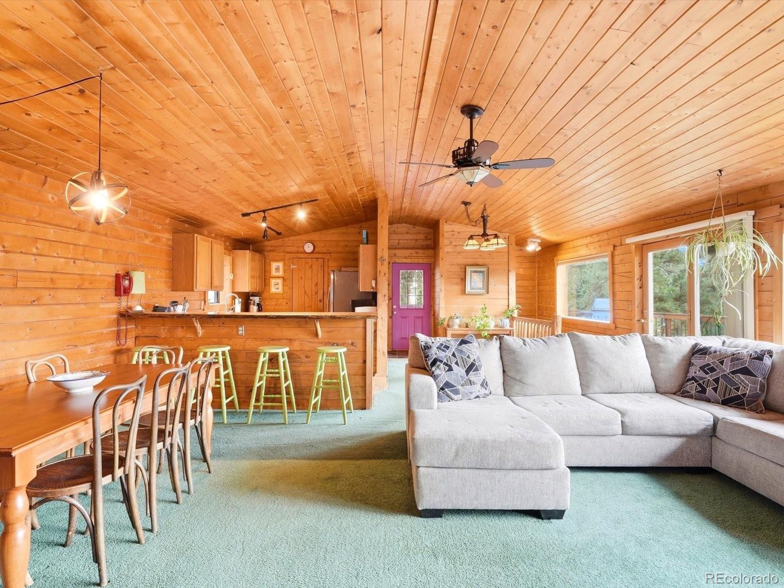 MLS Image #20 for 469  eagle trail,bailey, Colorado