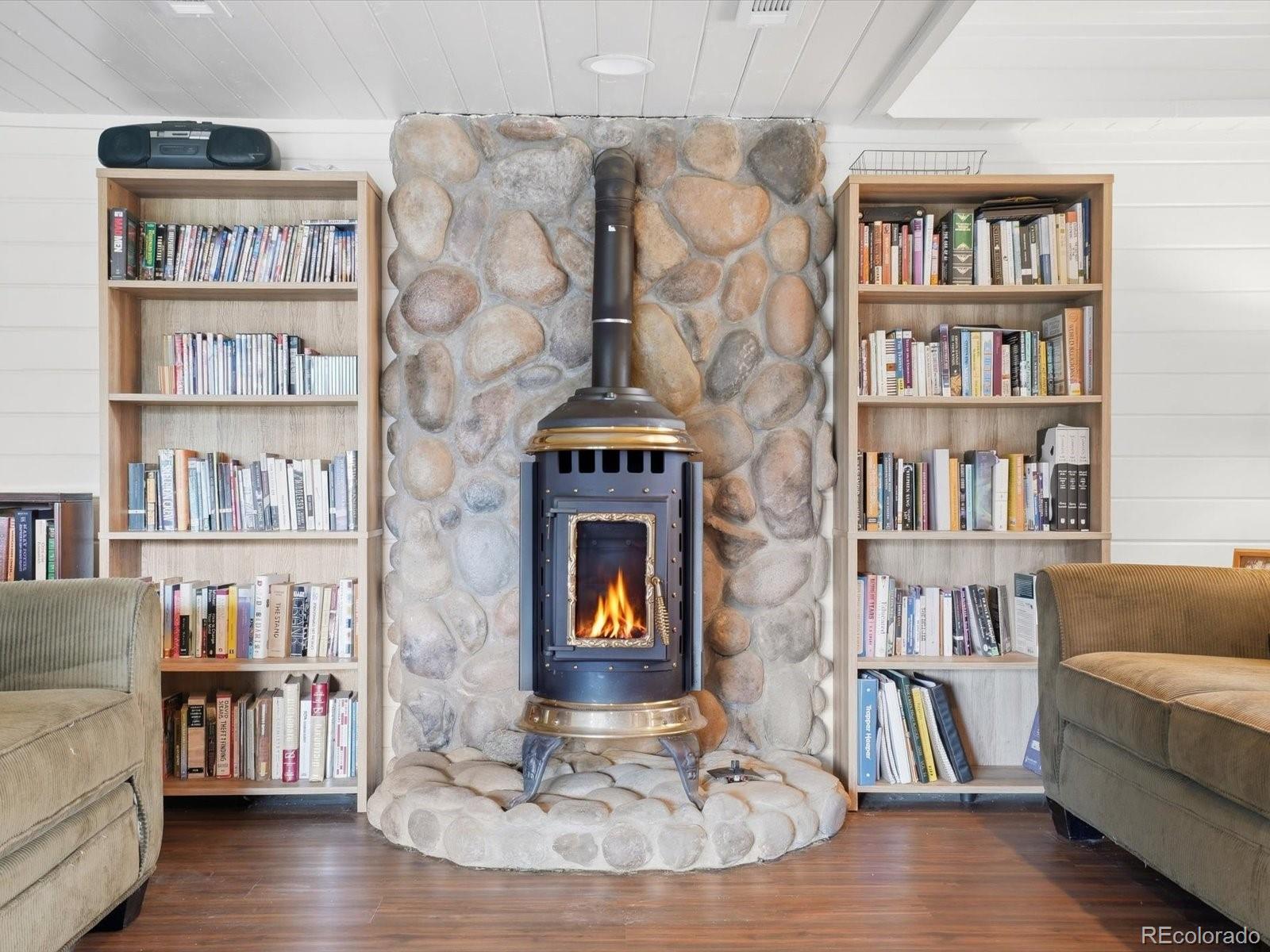 MLS Image #22 for 469  eagle trail,bailey, Colorado