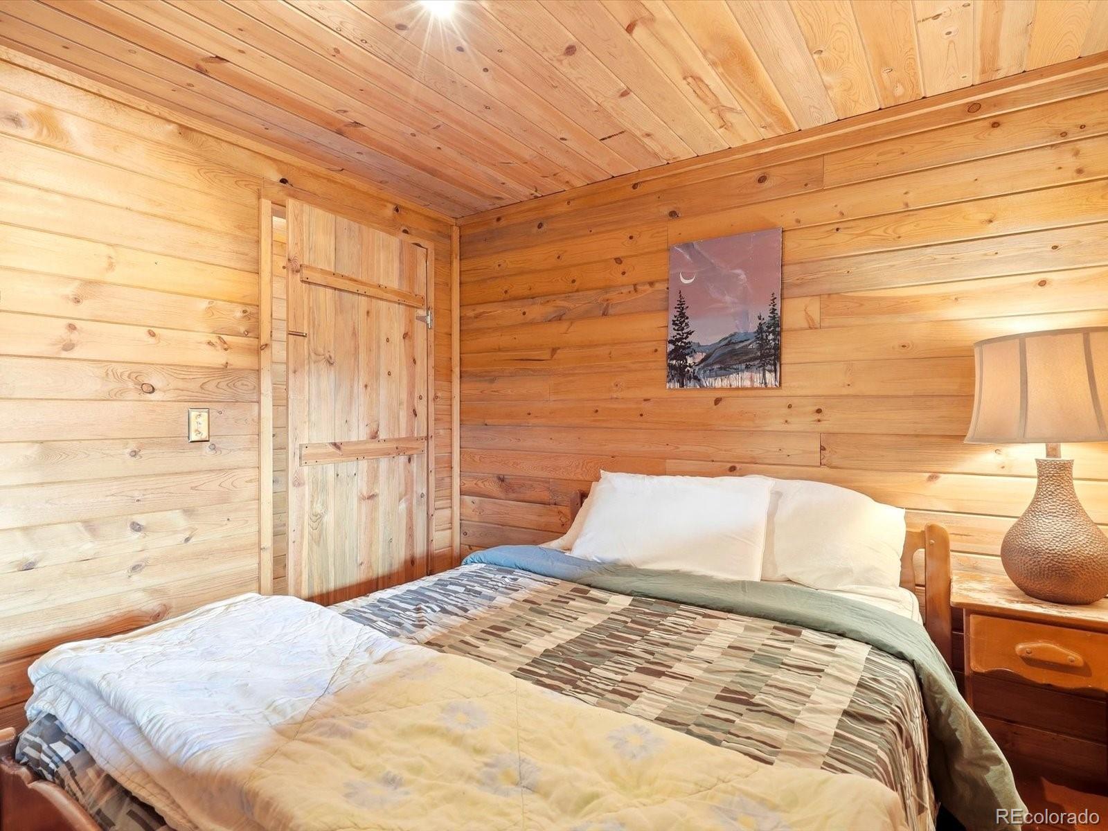 MLS Image #29 for 469  eagle trail,bailey, Colorado