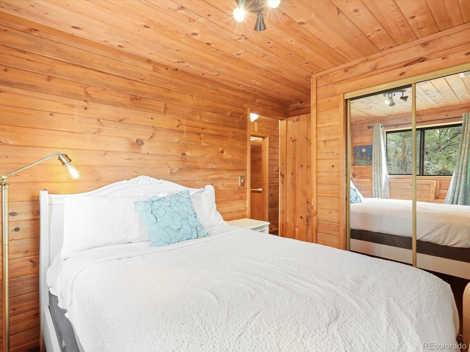 MLS Image #31 for 469  eagle trail,bailey, Colorado