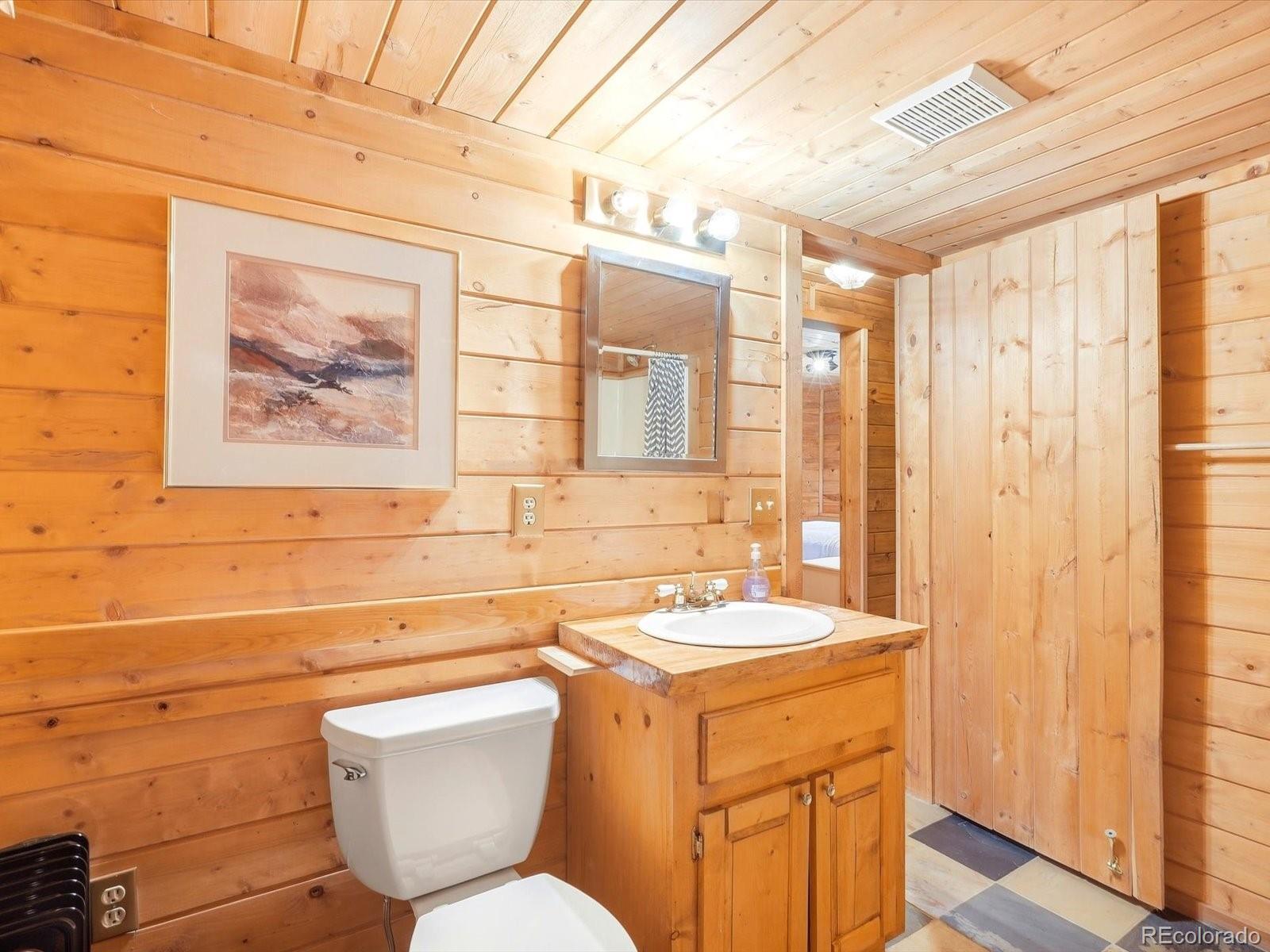 MLS Image #33 for 469  eagle trail,bailey, Colorado