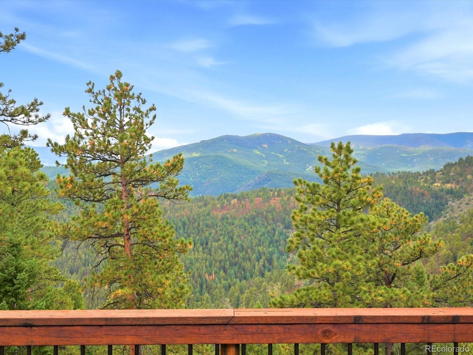 MLS Image #36 for 469  eagle trail,bailey, Colorado