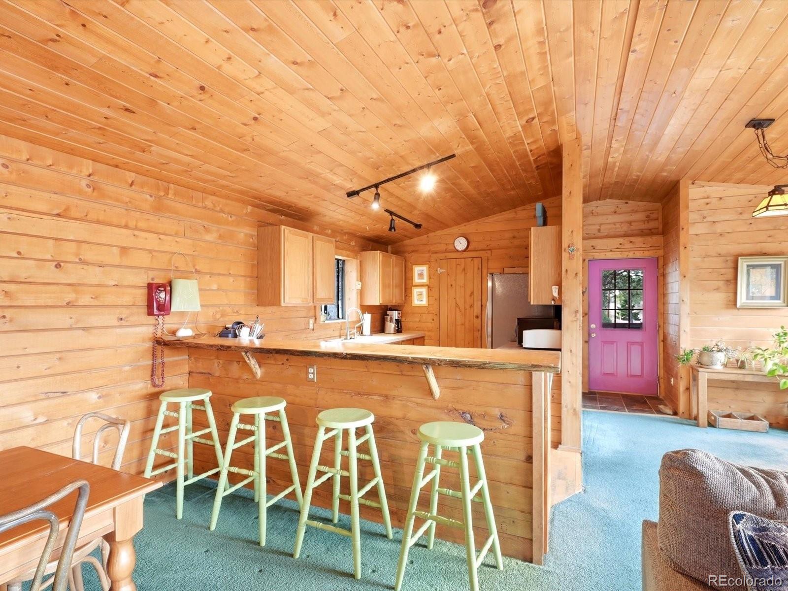 MLS Image #6 for 469  eagle trail,bailey, Colorado
